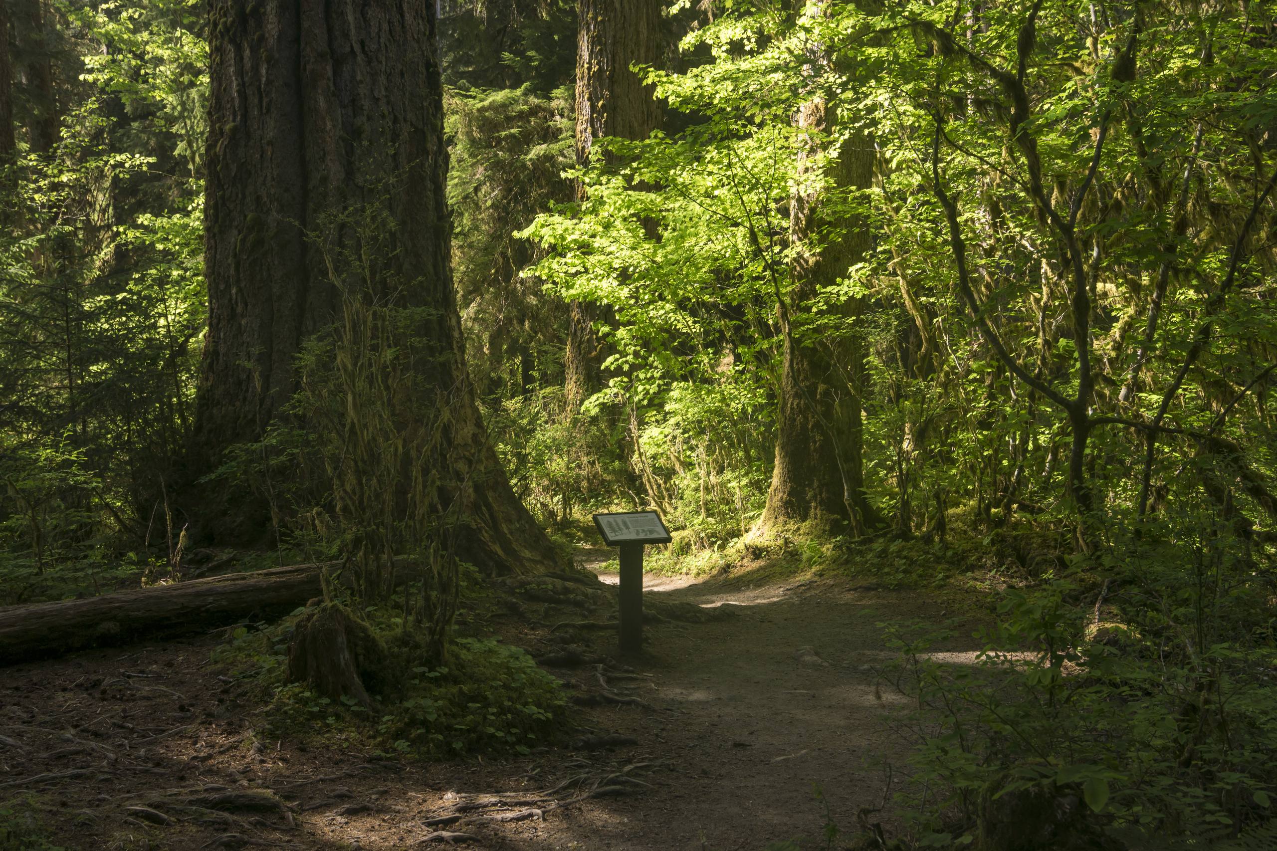 北海道森林小屋壁纸高清壁纸预览