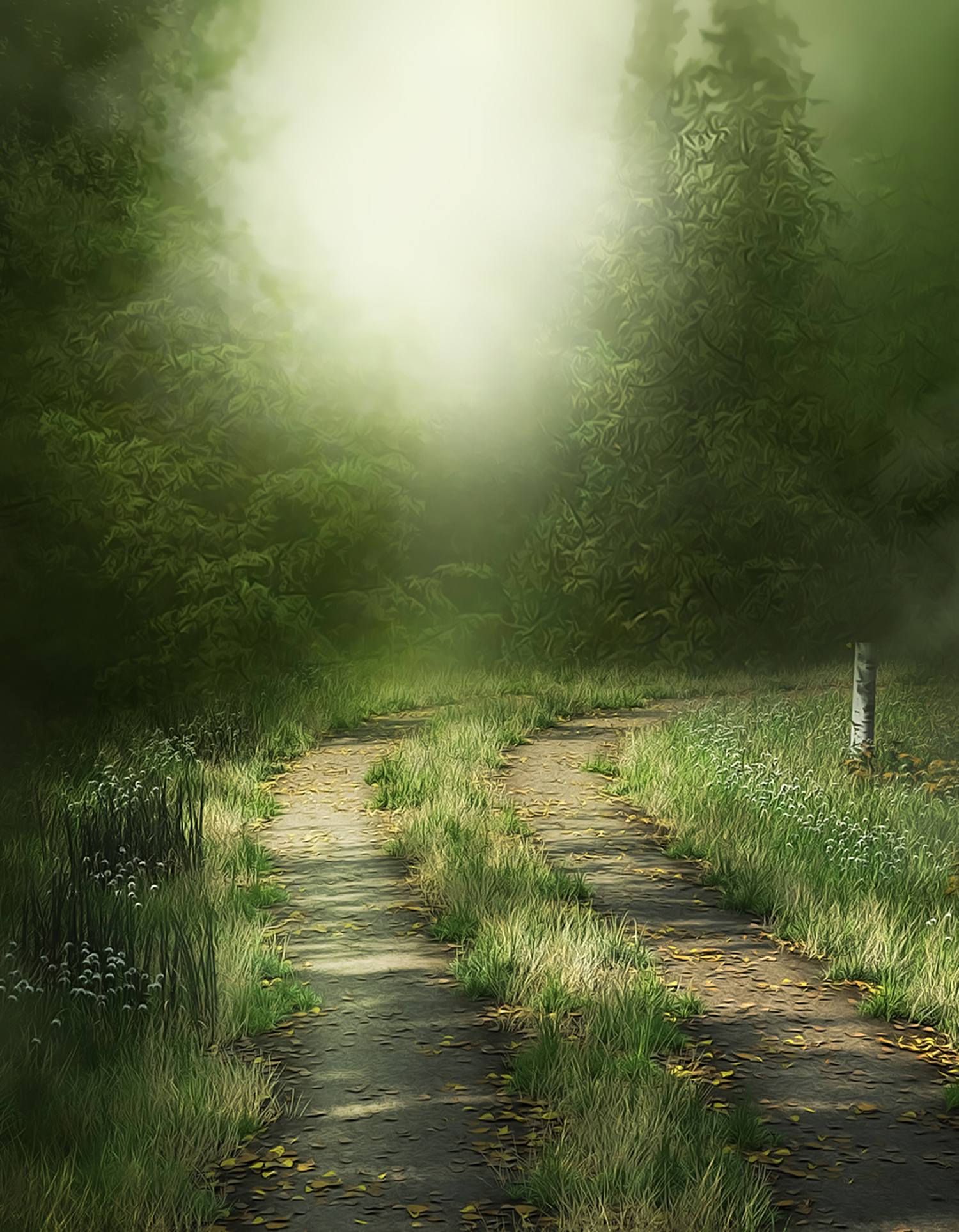 电脑壁纸森林插画壁纸预览