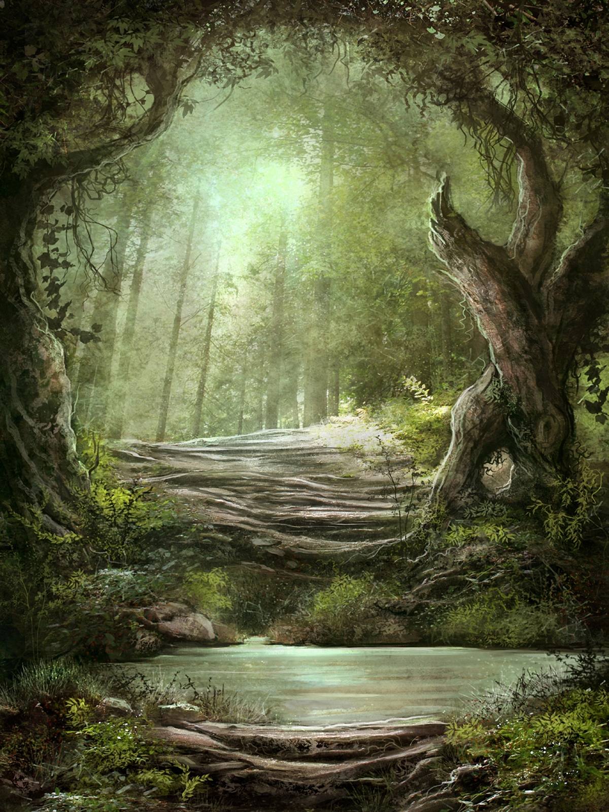 绿色森林壁纸简洁版高清壁纸预览