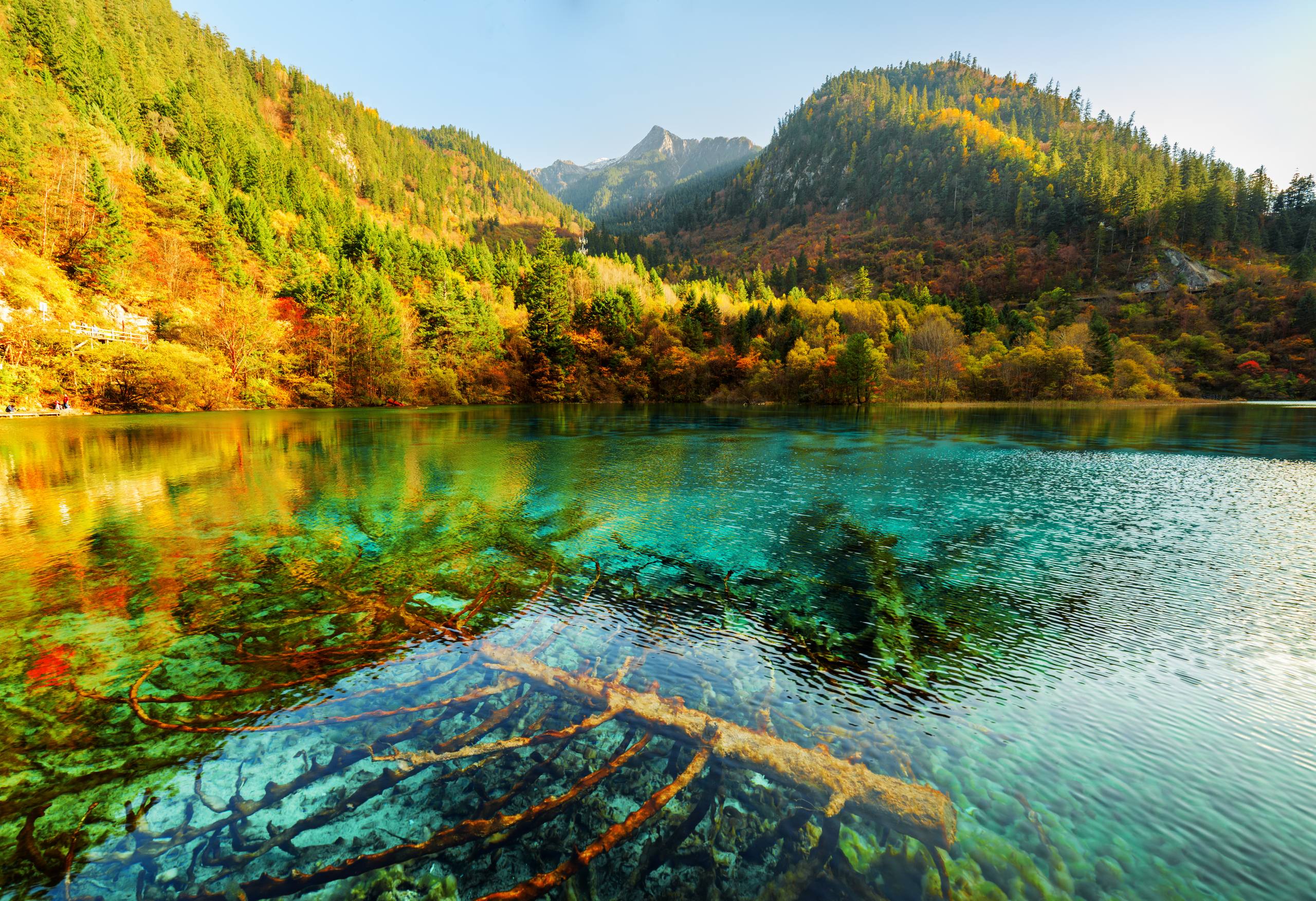 苹果简笔画风景壁纸山水壁纸预览
