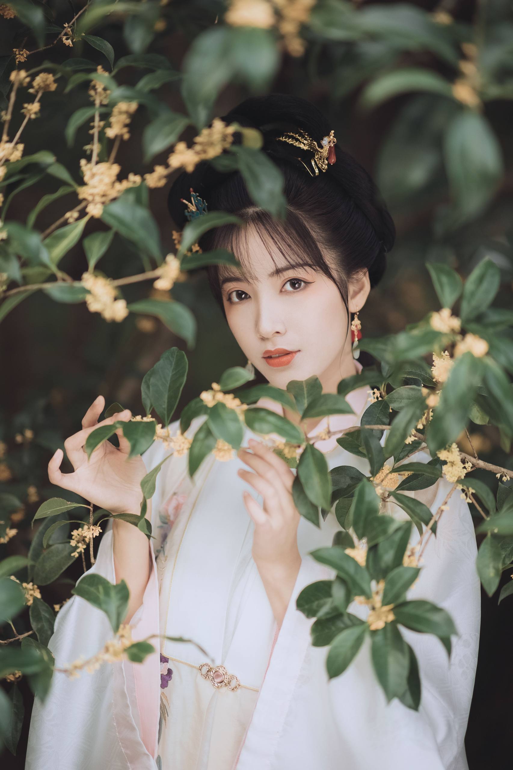 古寺树木壁纸壁纸预览