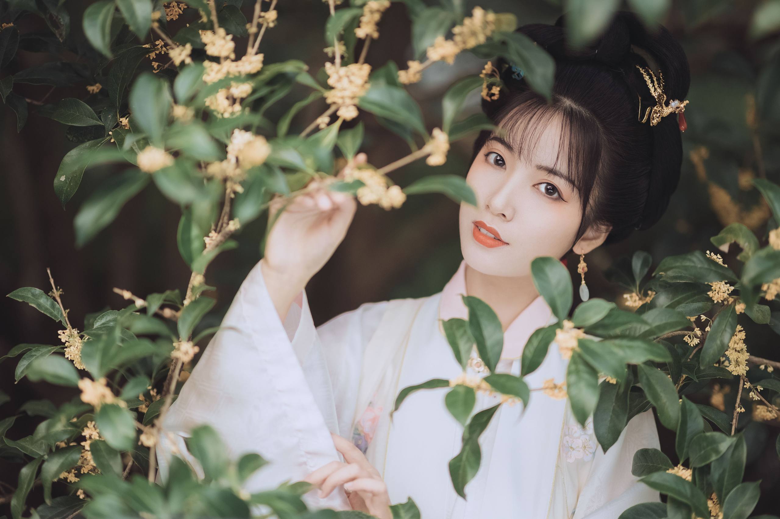 壁纸头像树木图片壁纸预览