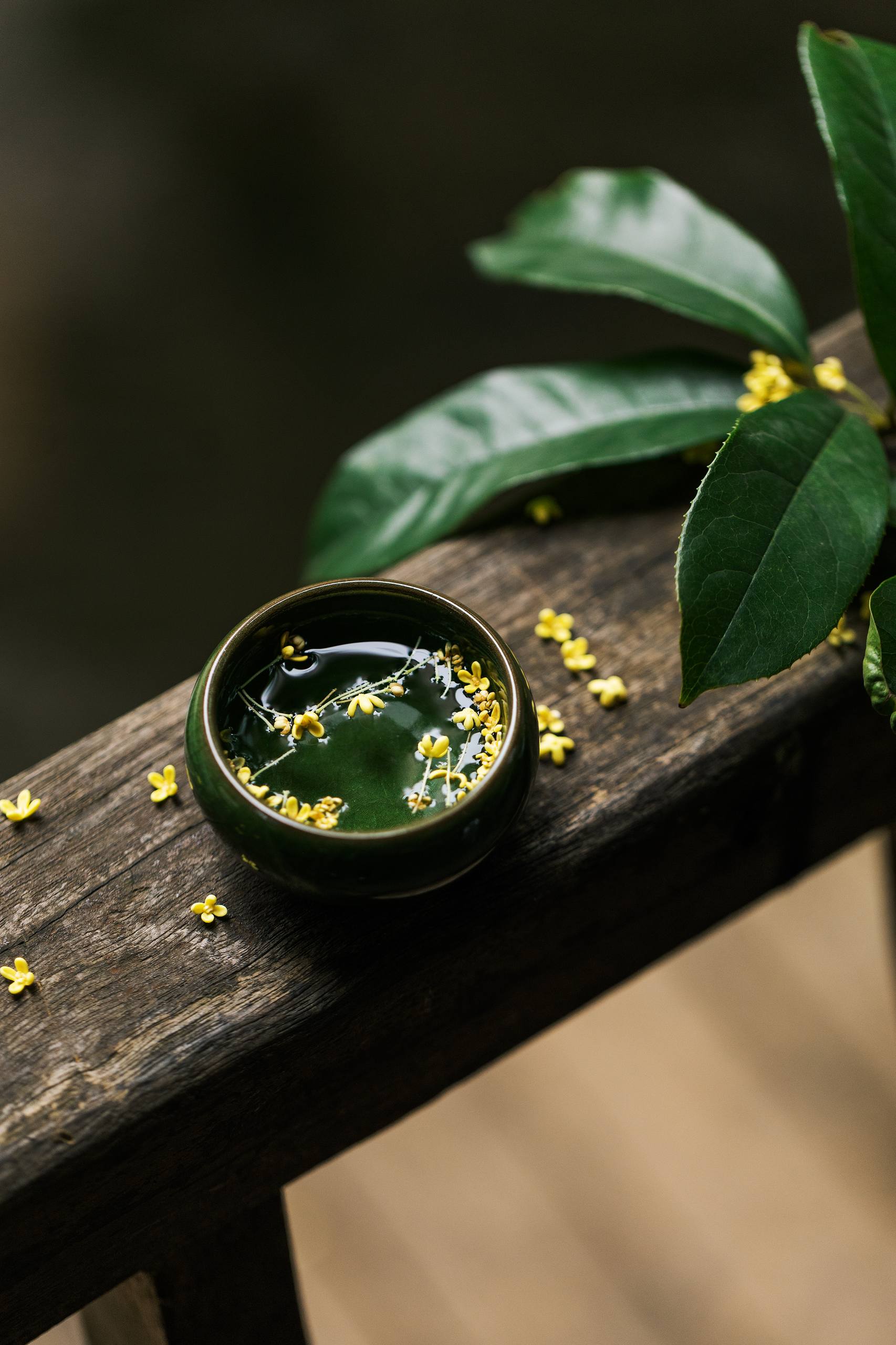 壁纸树木枫叶图片壁纸预览