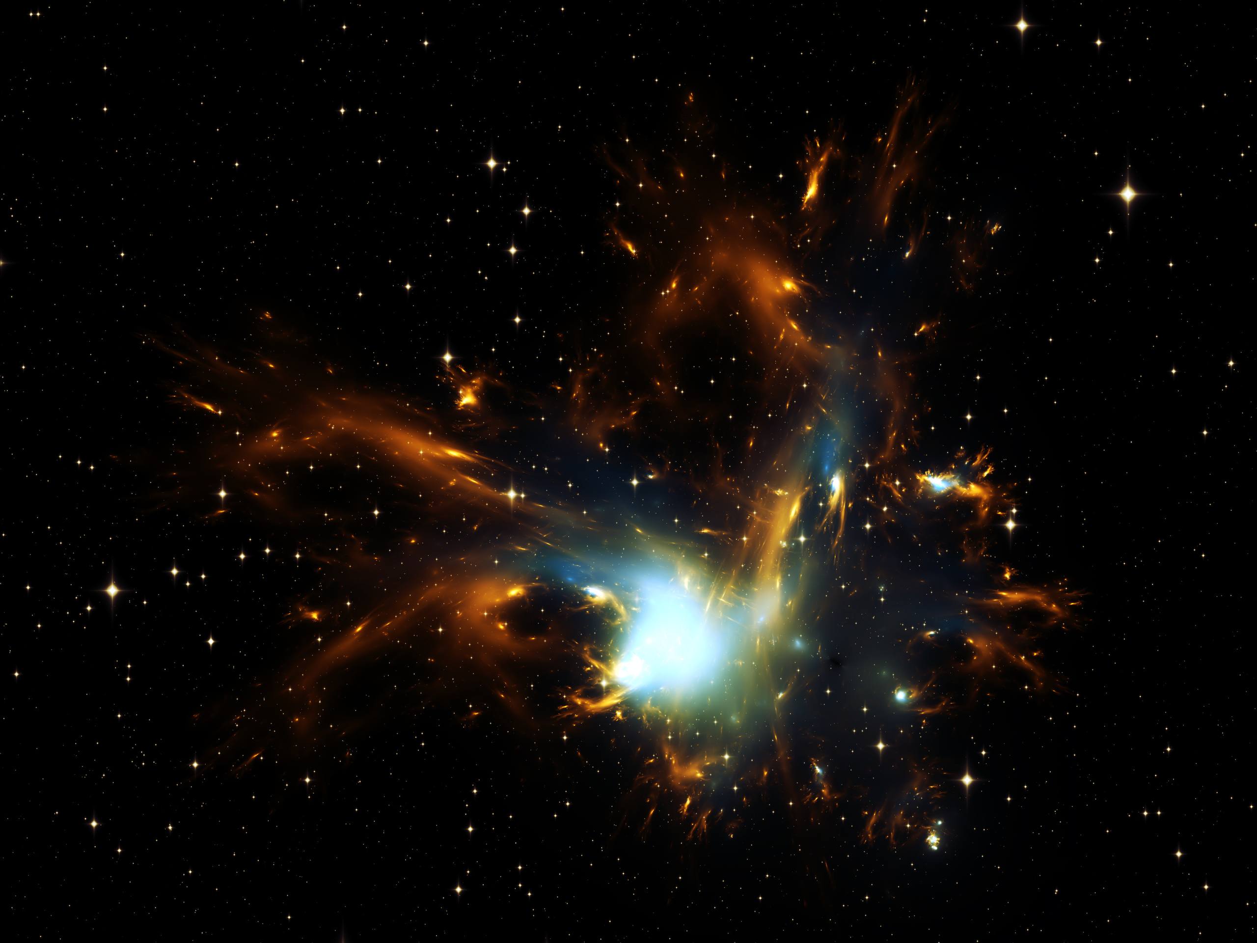 壁纸图片星空鹿壁纸预览