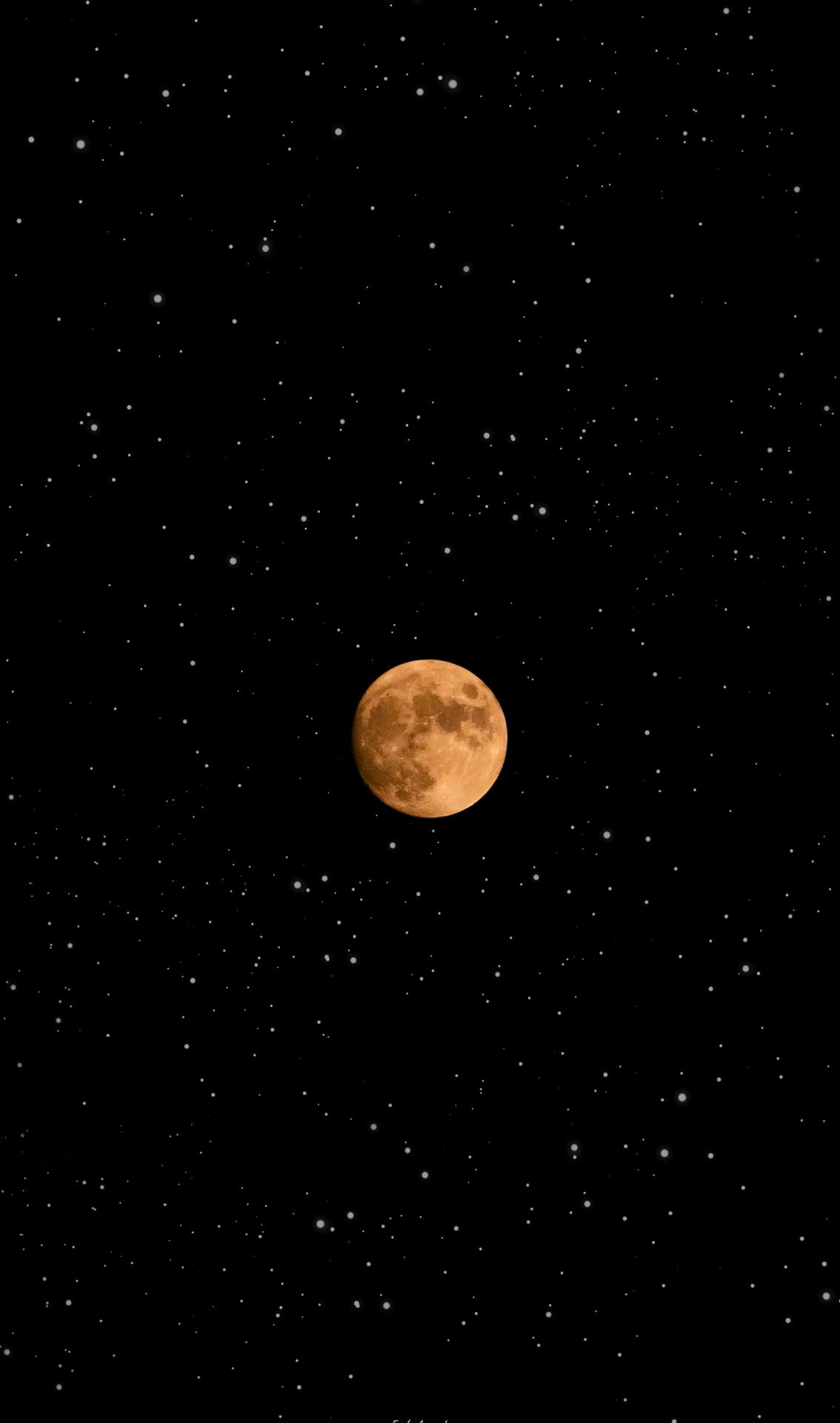 壁纸浪漫星空下壁纸预览
