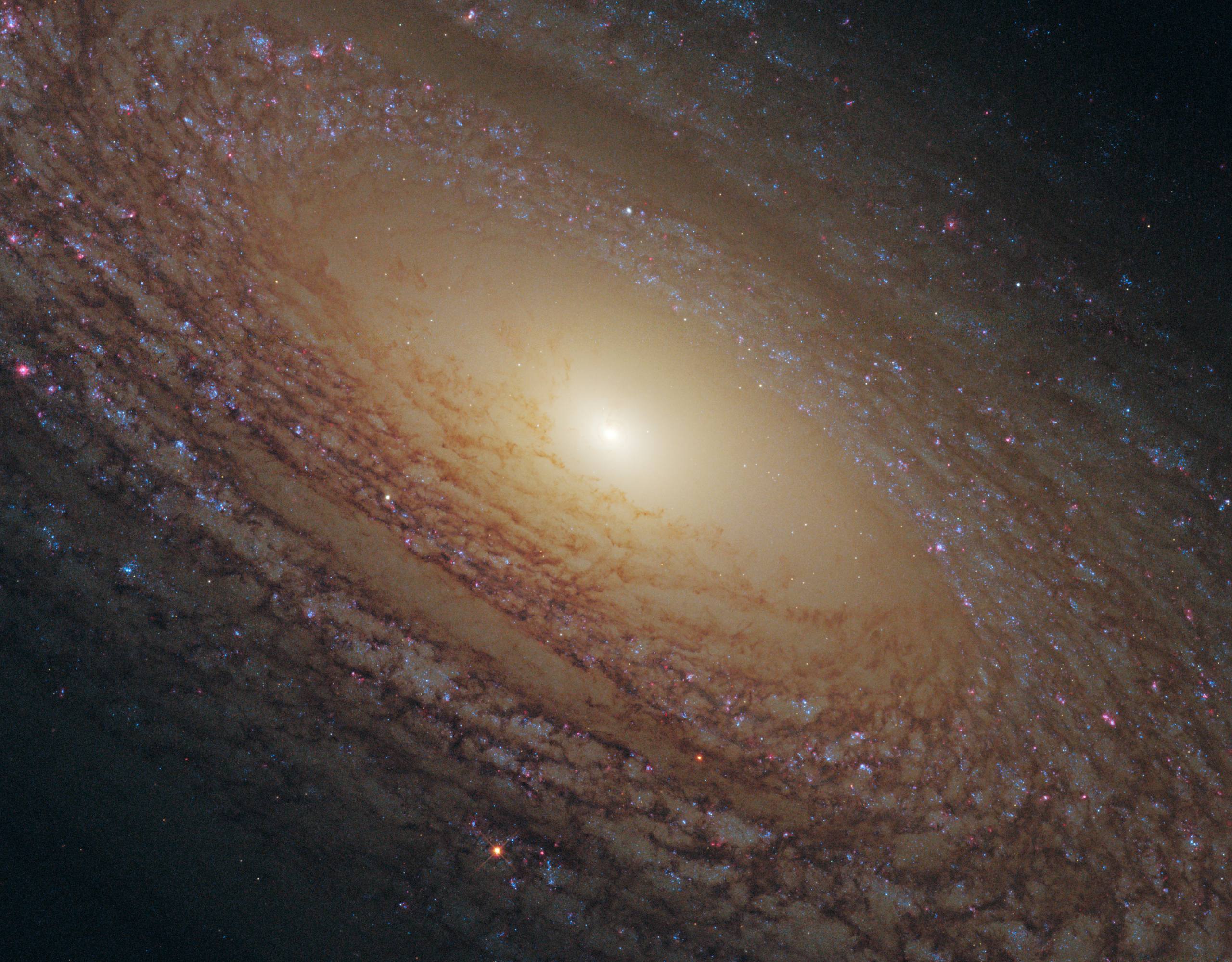 好看星空壁纸壁纸预览