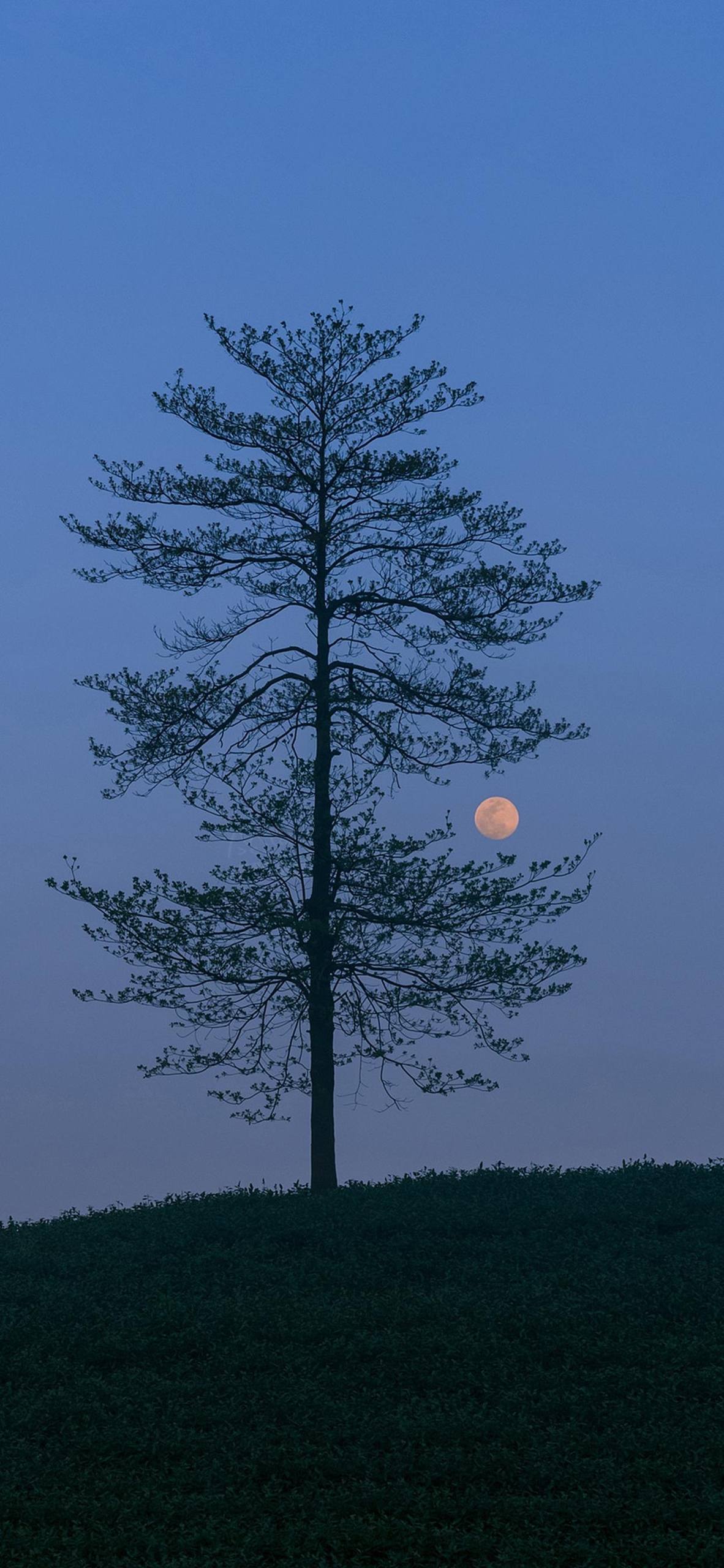 完美星空壁纸壁纸预览