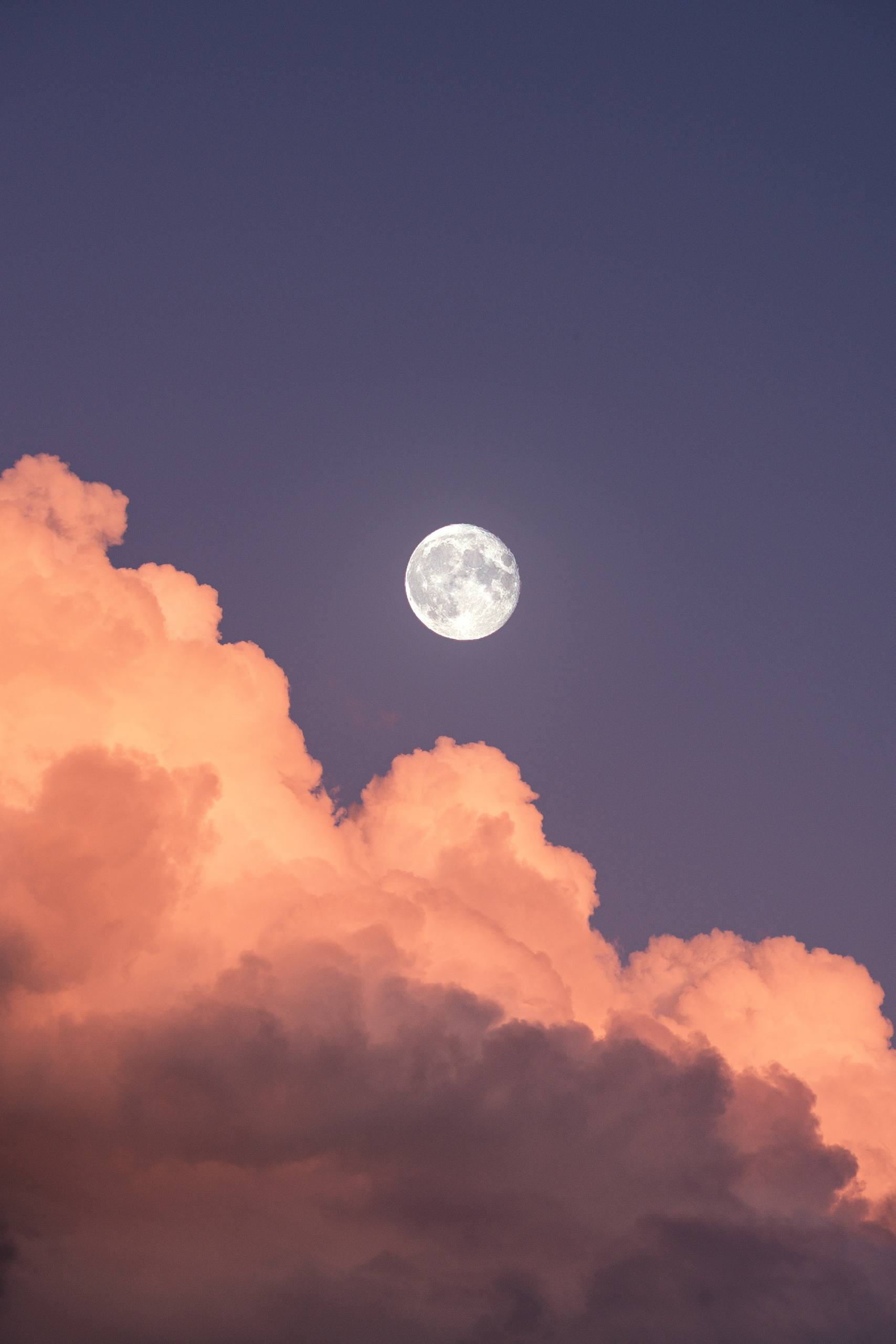 物语星空壁纸壁纸预览