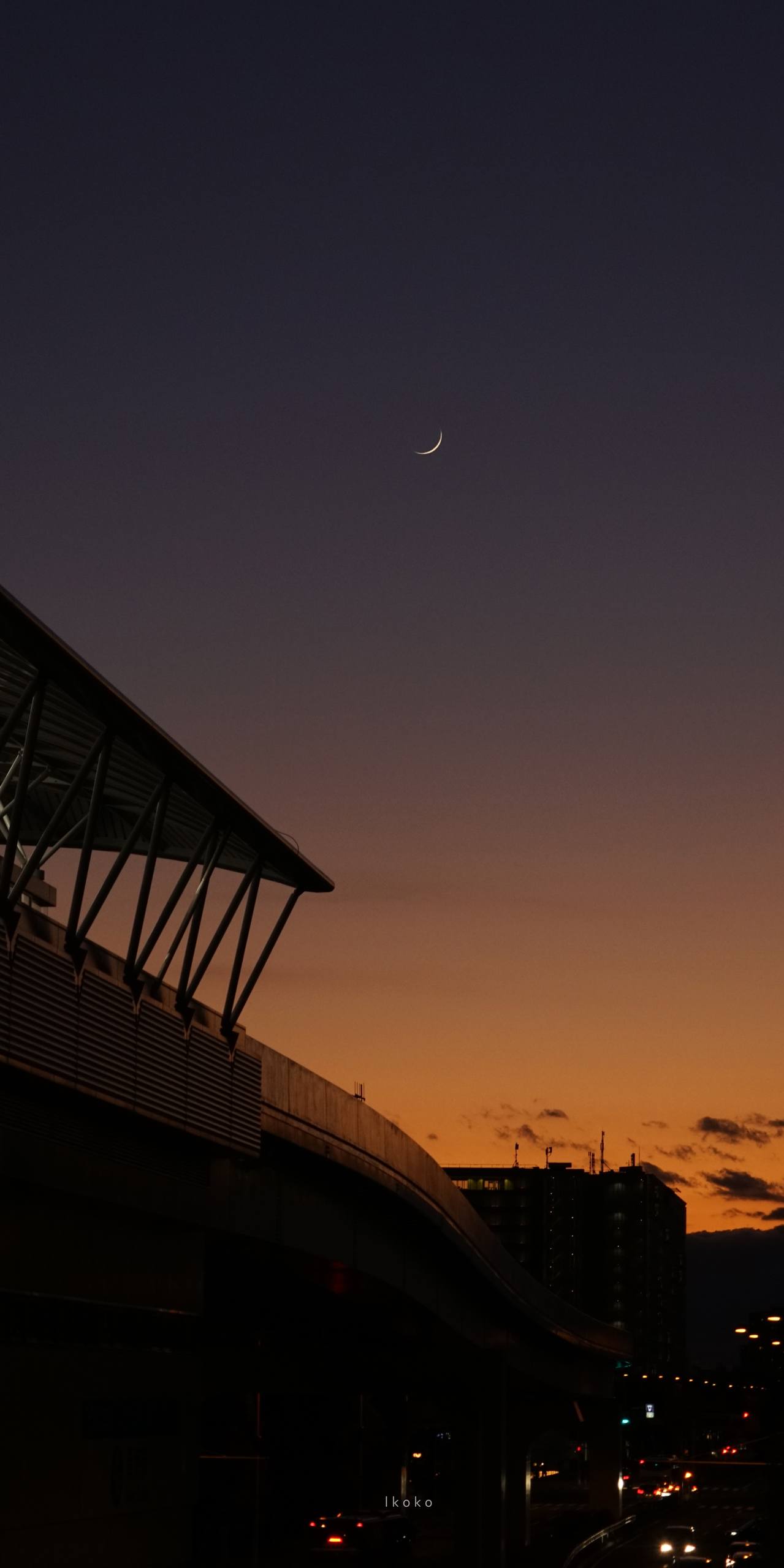 猫星空壁纸壁纸预览