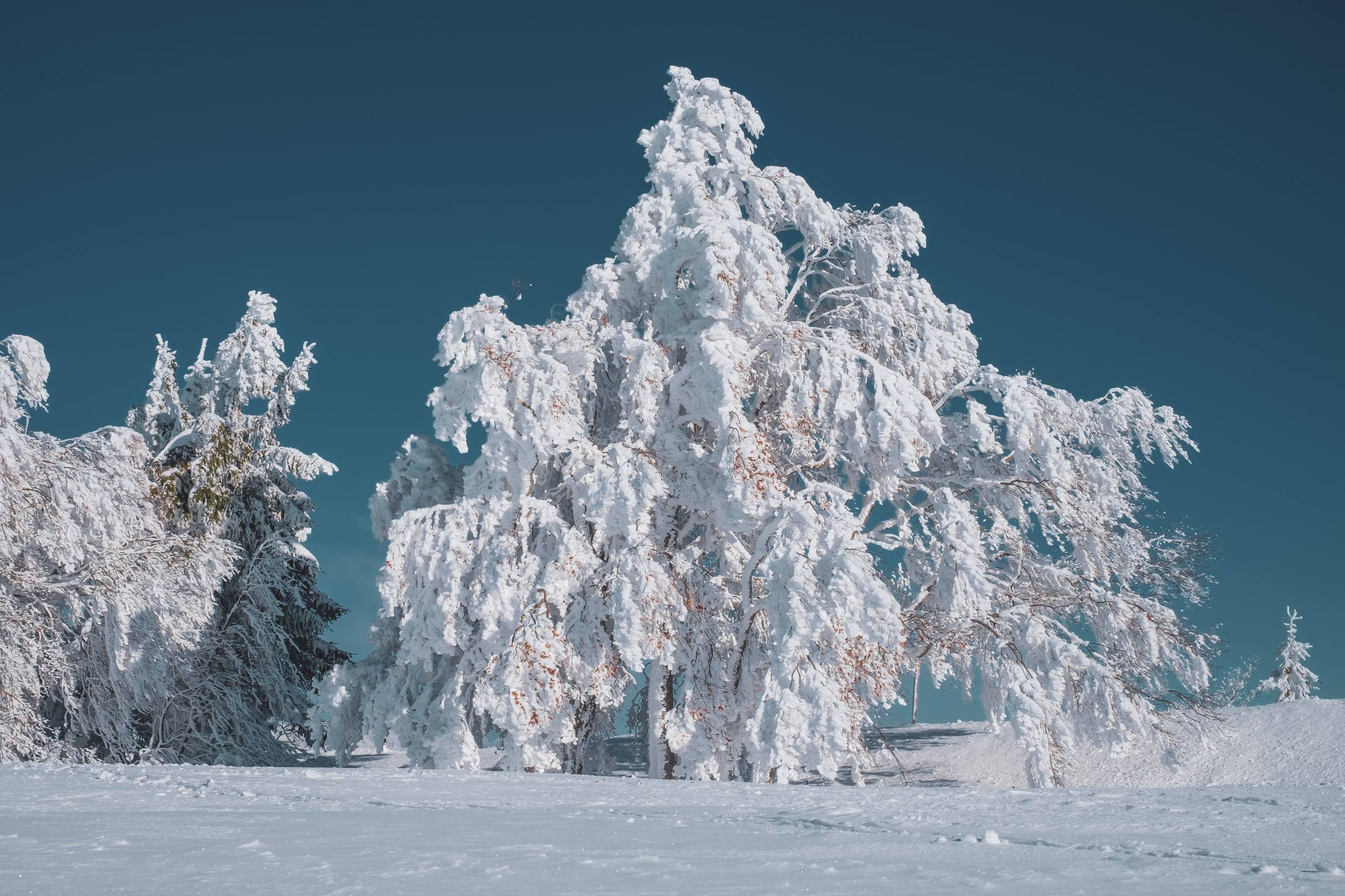 ins风壁纸橙色雪山壁纸预览