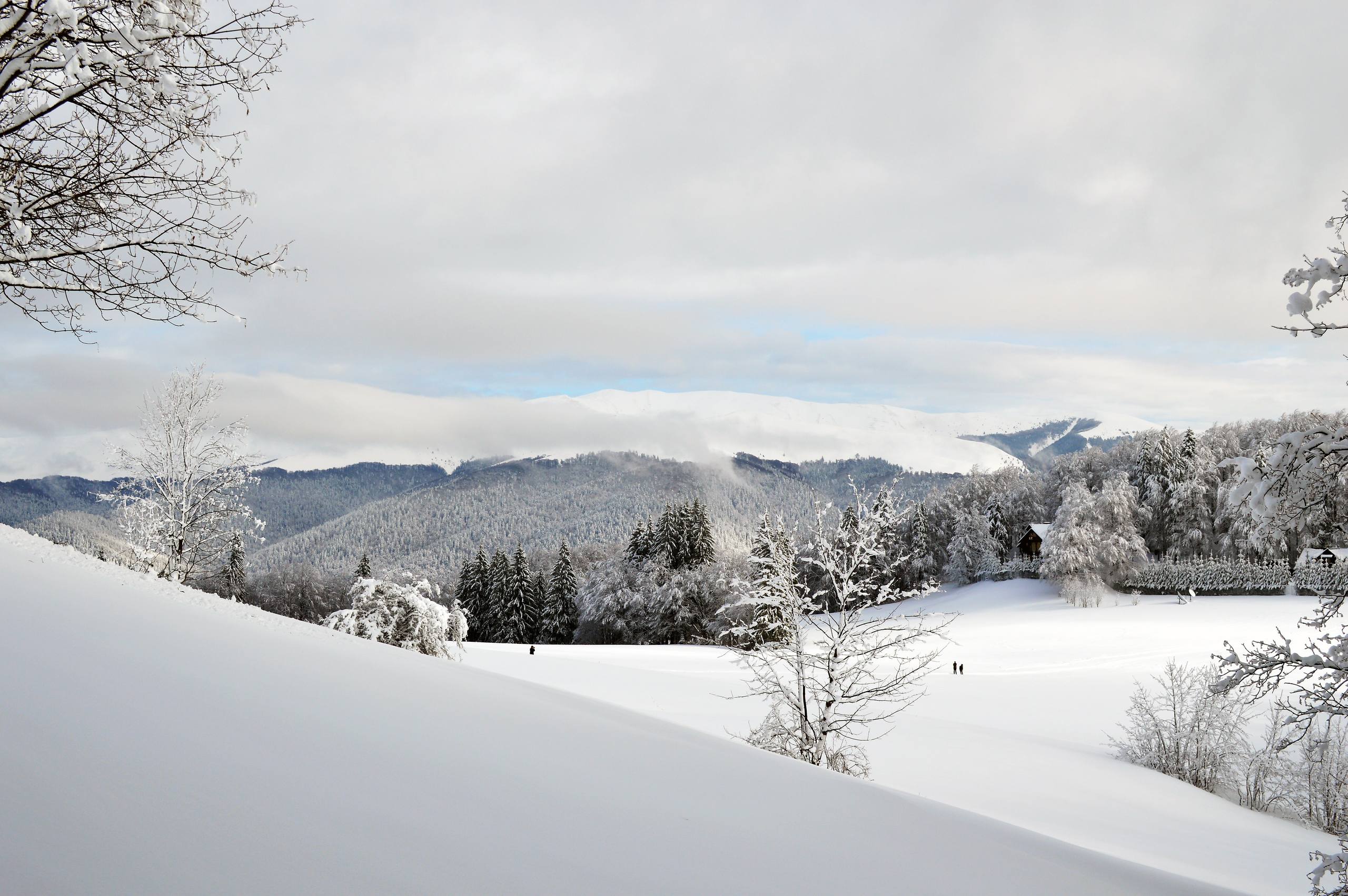 关于雪山的高级壁纸壁纸预览