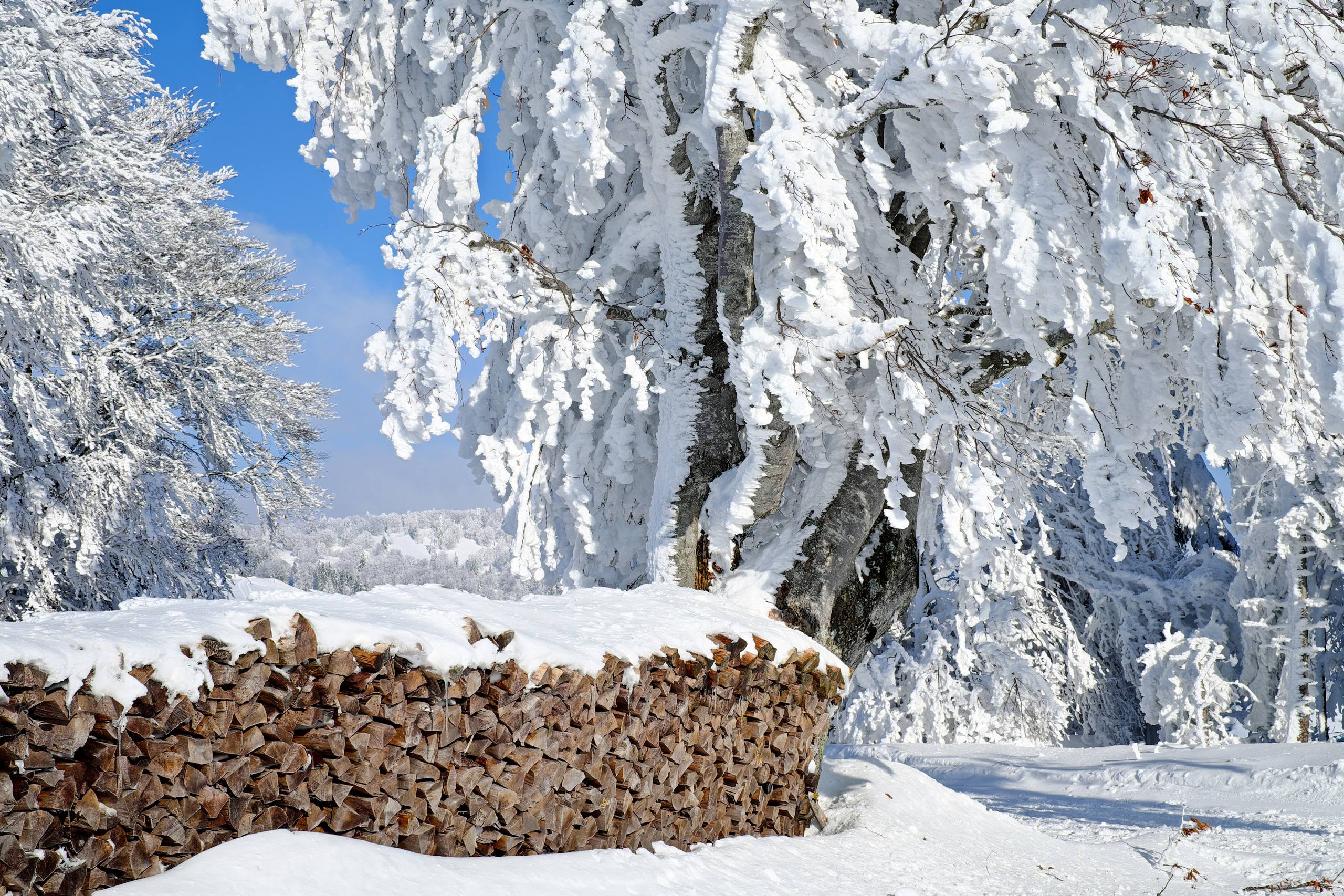 动态壁纸墨脱雪山高清壁纸预览