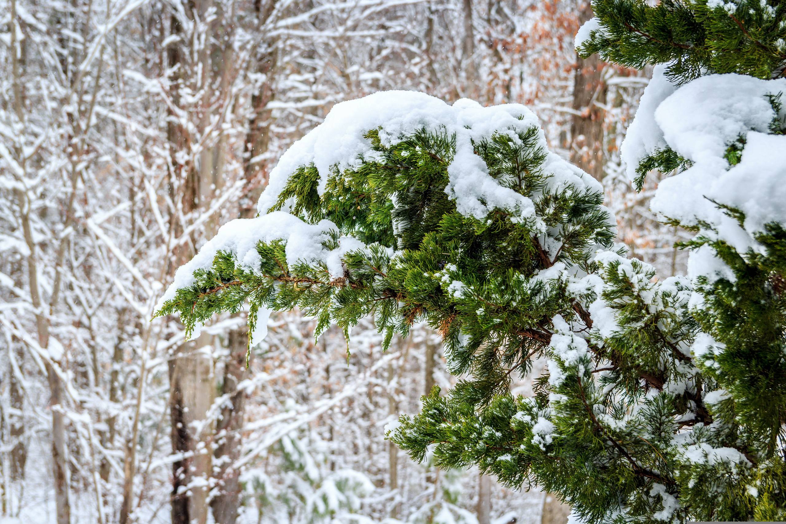 华为平板壁纸雪山壁纸预览