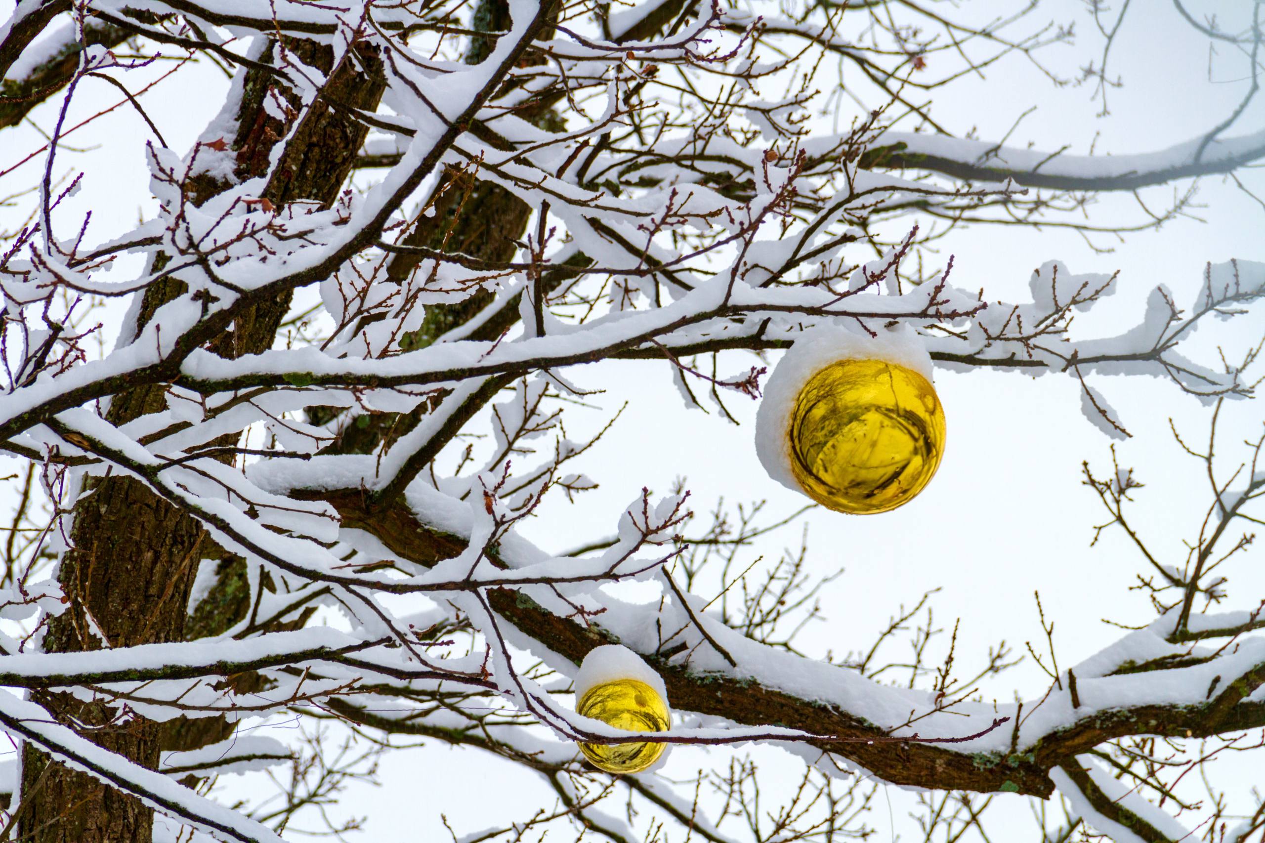 壁纸背景雪山壁纸预览