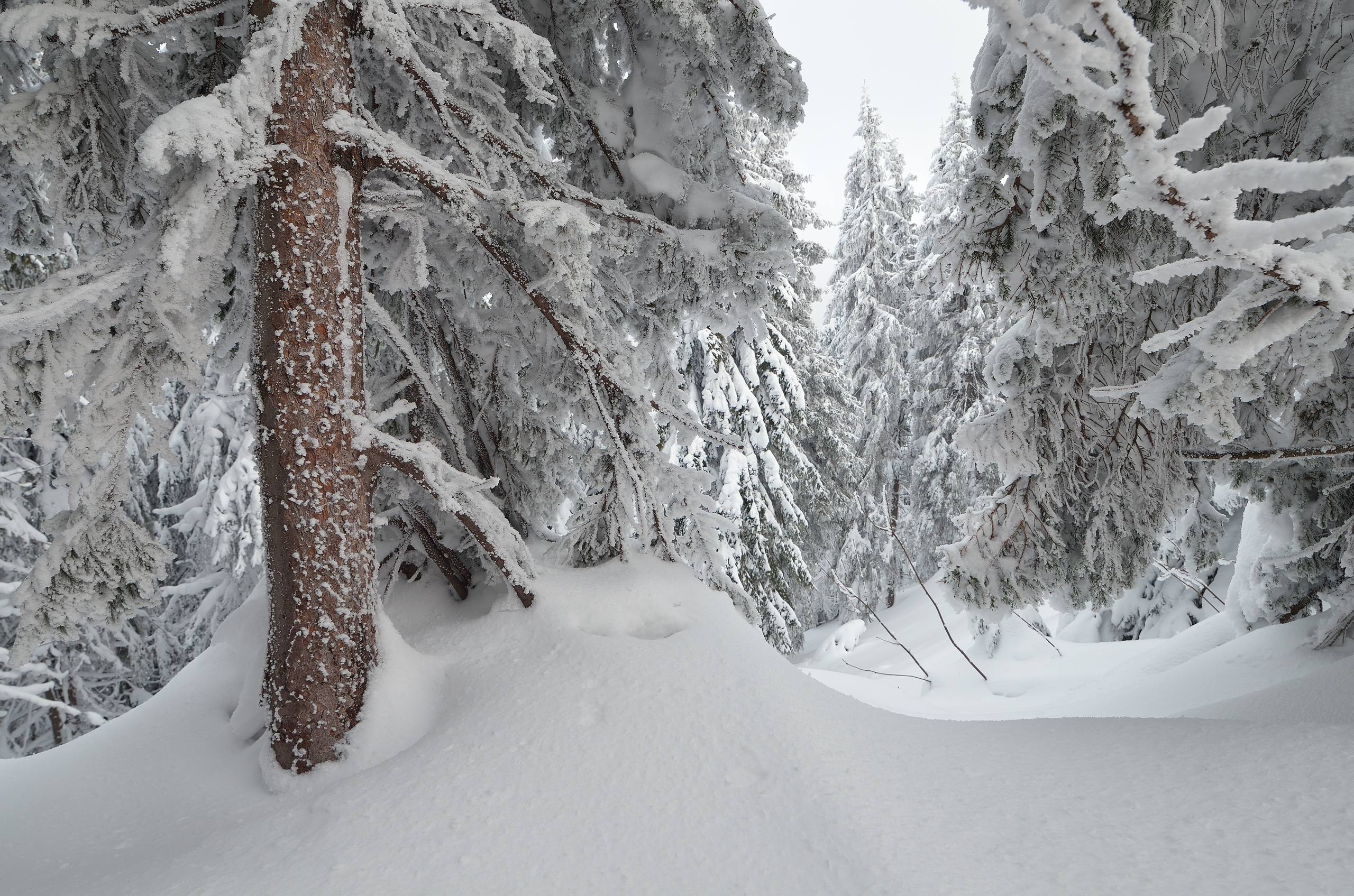 壁纸雪山月亮轨迹壁纸预览