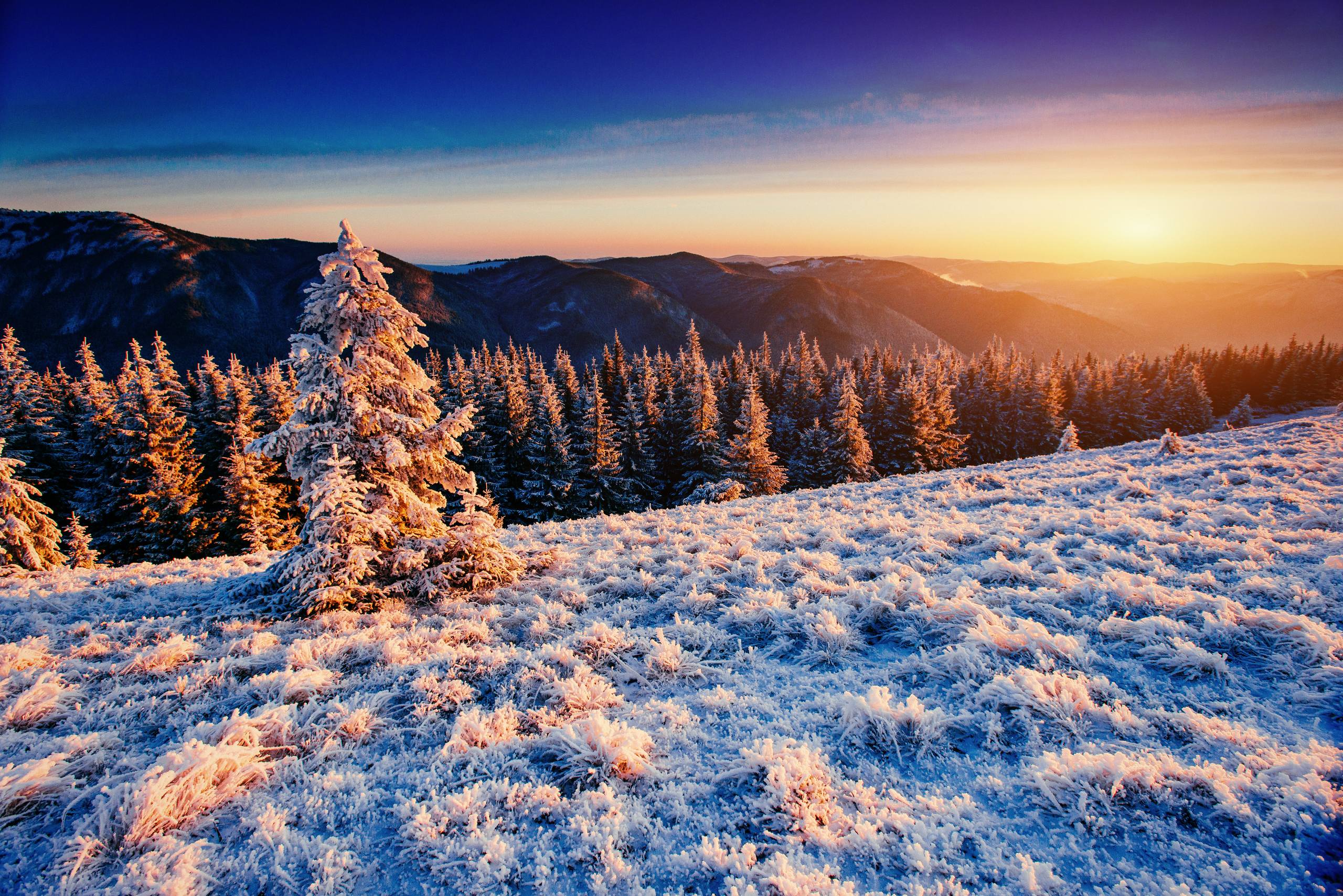 壁纸雪山草地文案句子壁纸预览