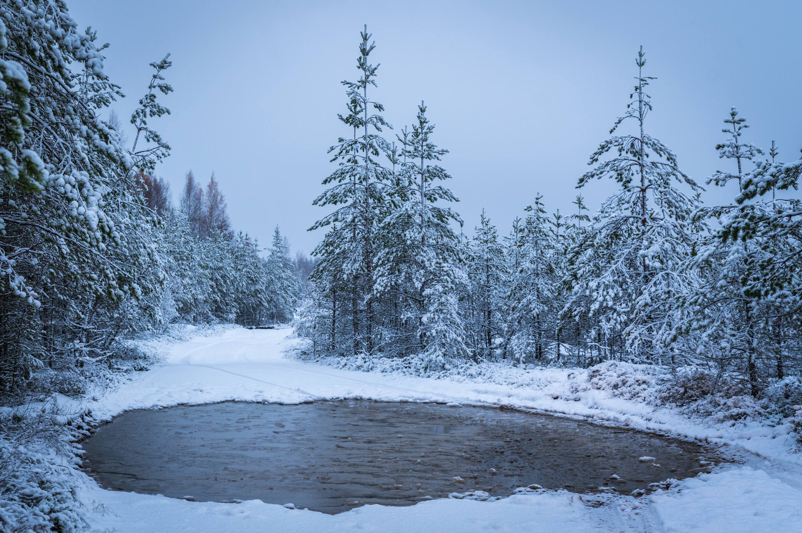 小米雪山壁纸生硬壁纸预览