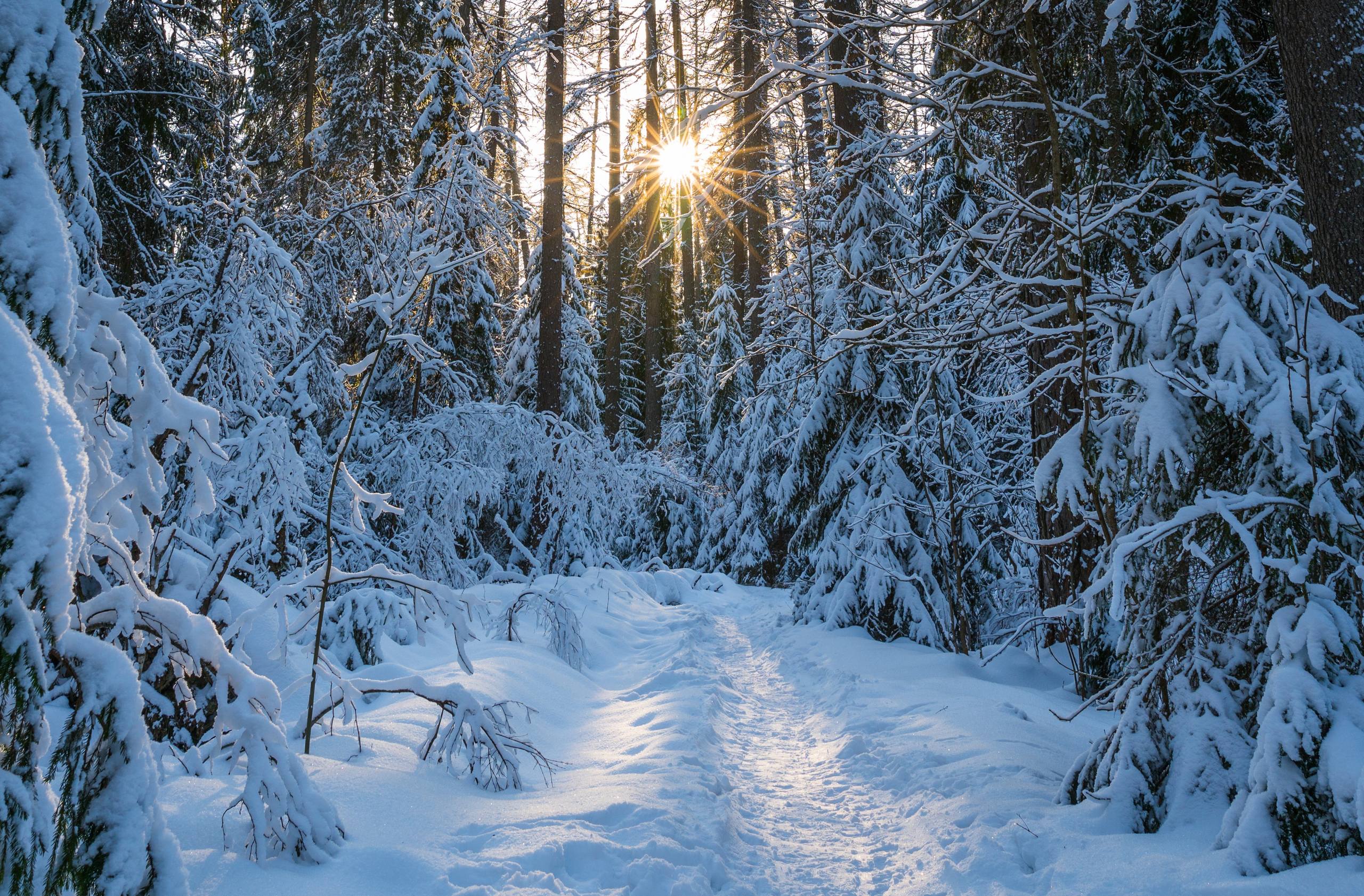 微信头像雪山壁纸全屏壁纸预览