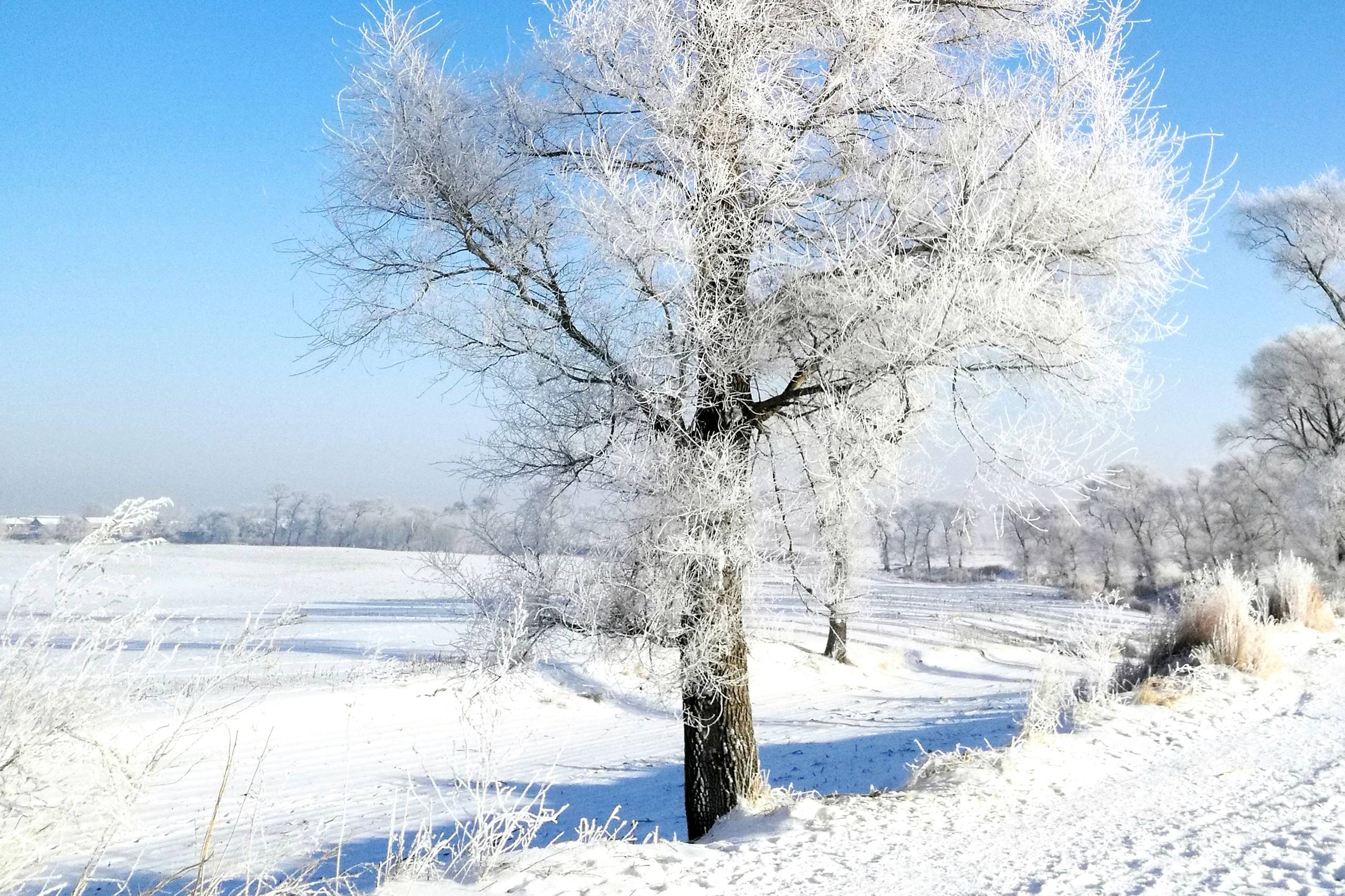 微信背景雪山壁纸图壁纸预览