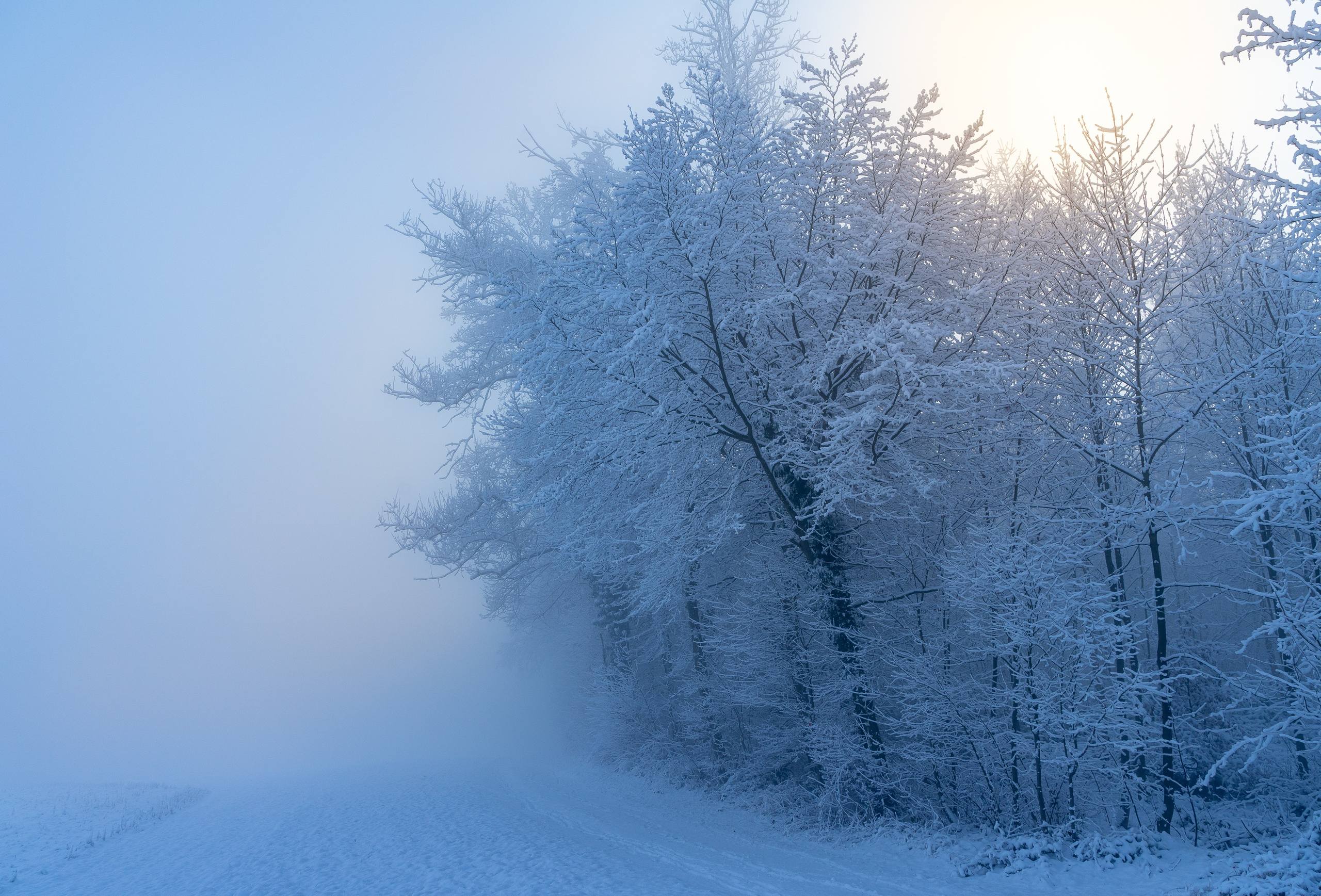 梅里雪山春天壁纸壁纸预览