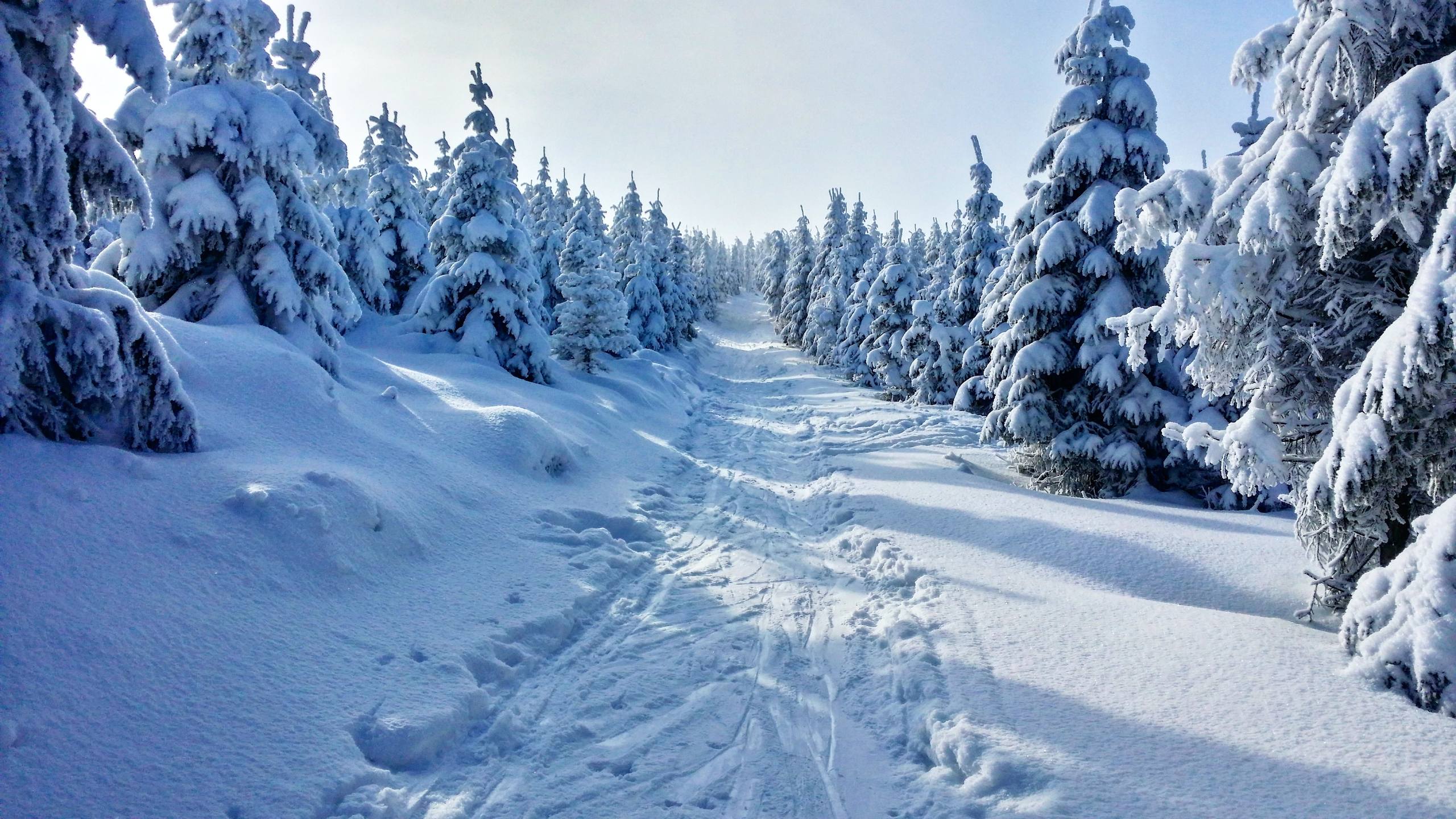 滑板雪山壁纸壁纸预览