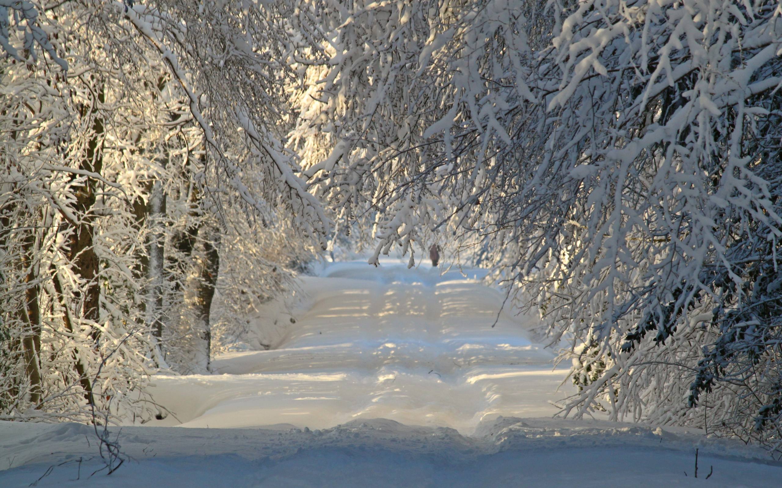 电脑壁纸雪山绘画简笔画壁纸预览