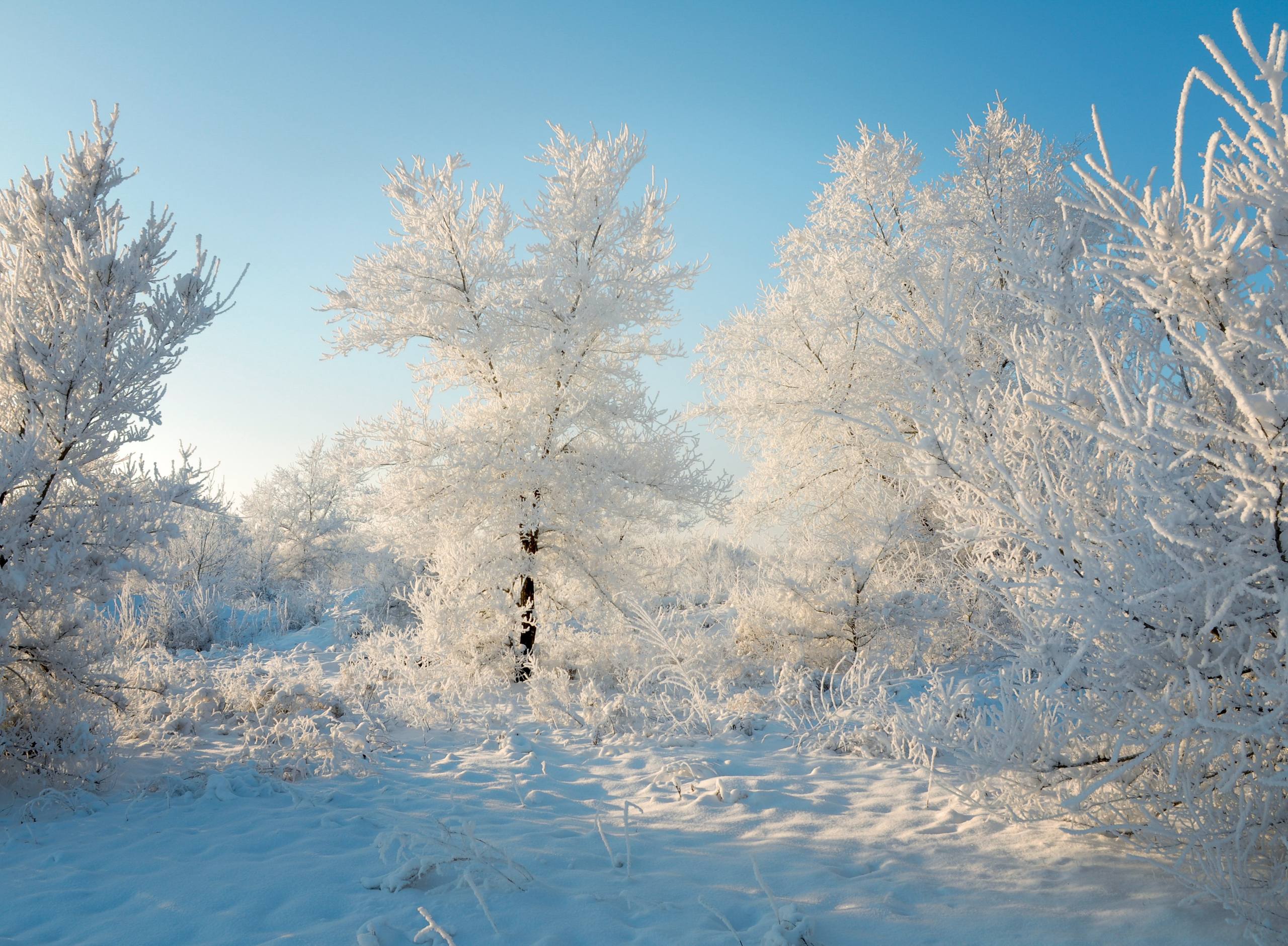 苹果手机雪山景壁纸壁纸预览