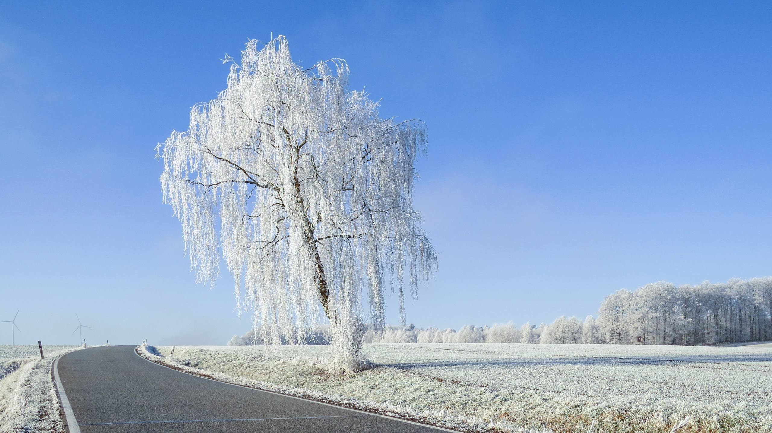 西藏雪山图片壁纸壁纸预览