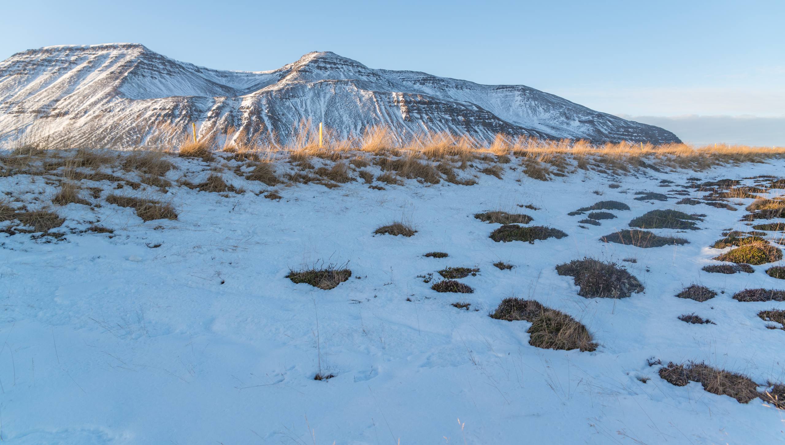 轿子雪山冰雪奇缘壁纸壁纸预览
