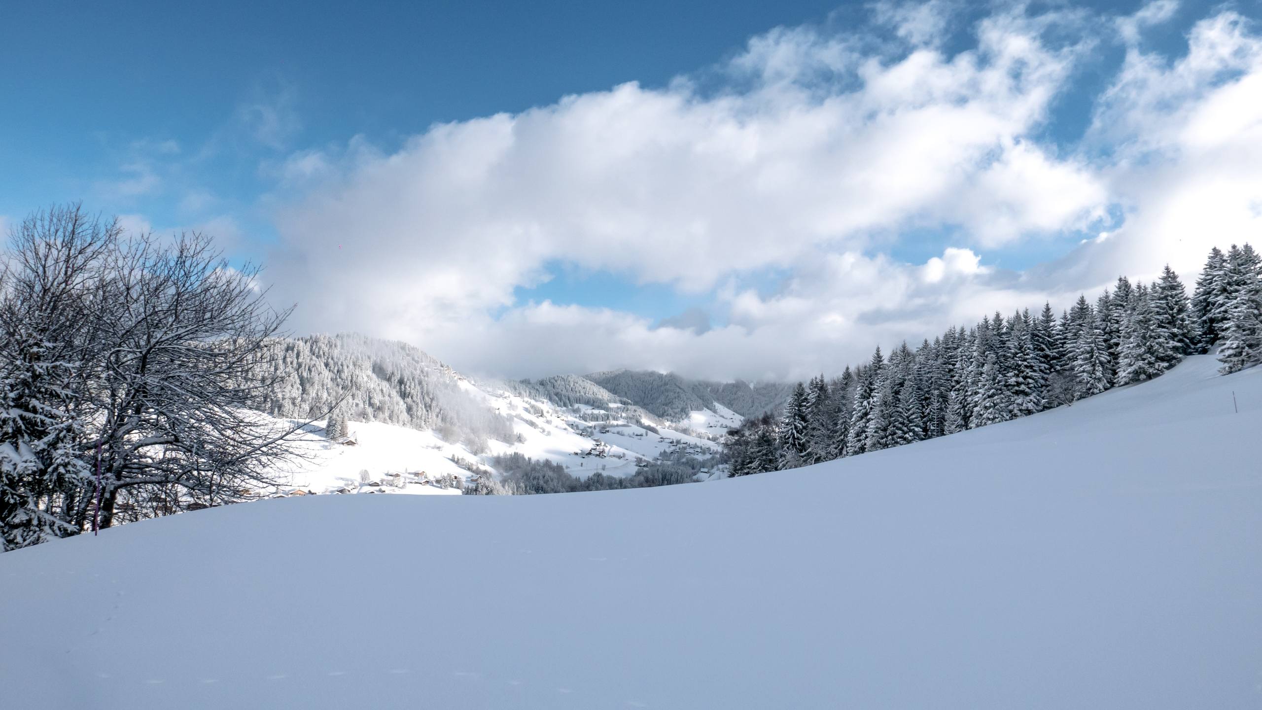 雪山二次元无限循环壁纸壁纸预览