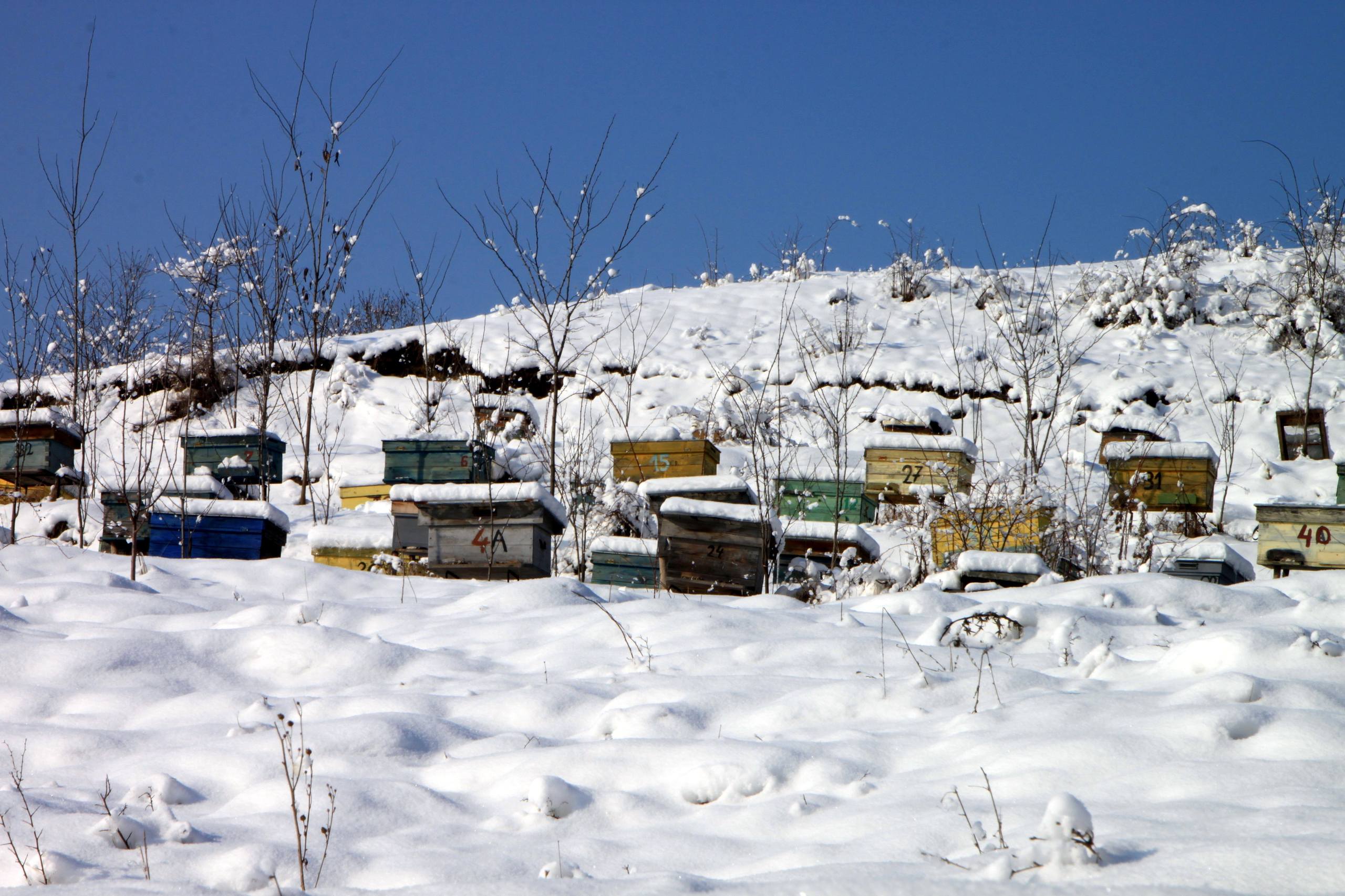 雪山动漫手机壁纸壁纸预览