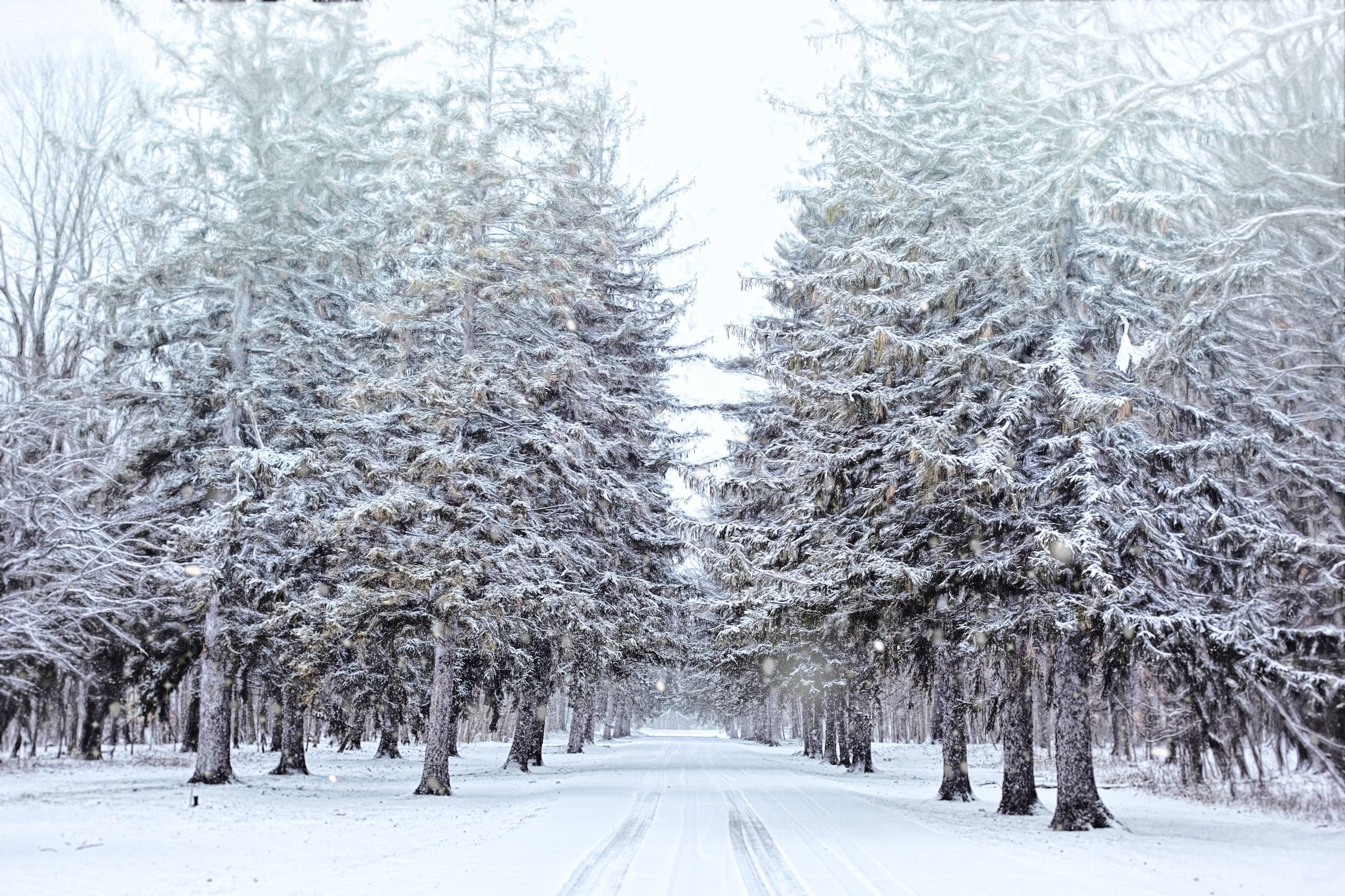 雪山和云壁纸壁纸预览