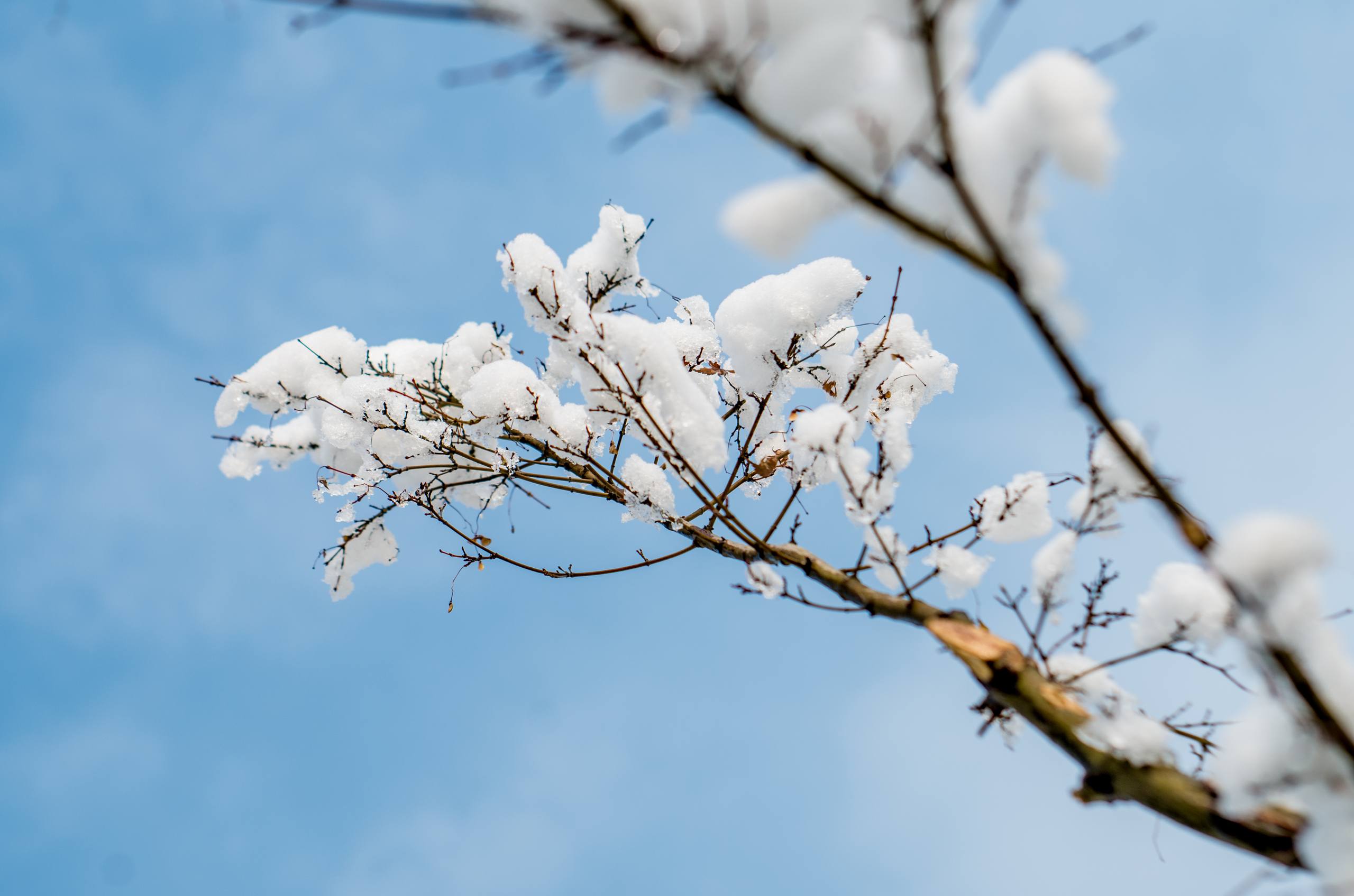 雪山壁纸人像图片壁纸预览