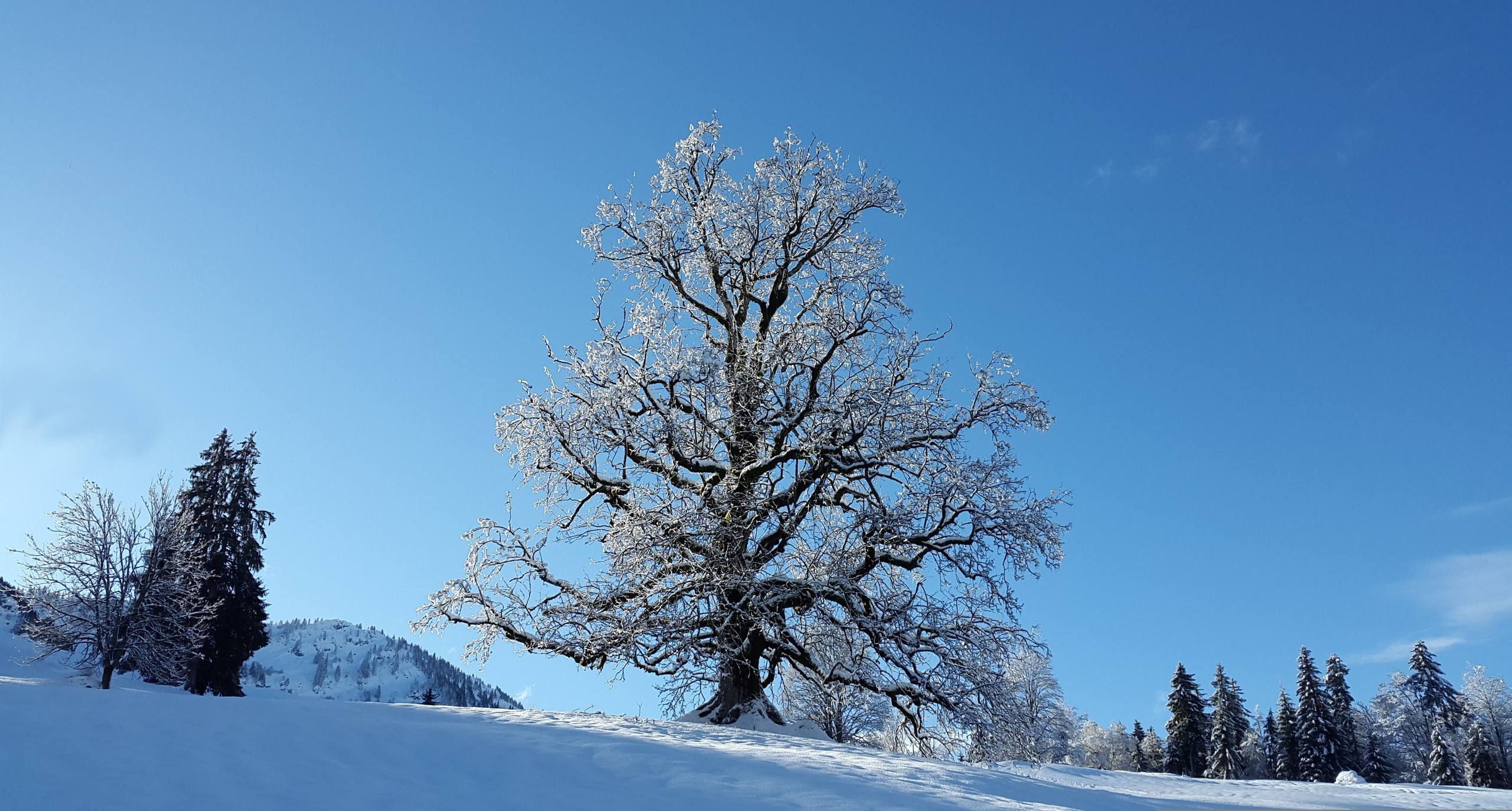 雪山壁纸暖色背景图片壁纸预览