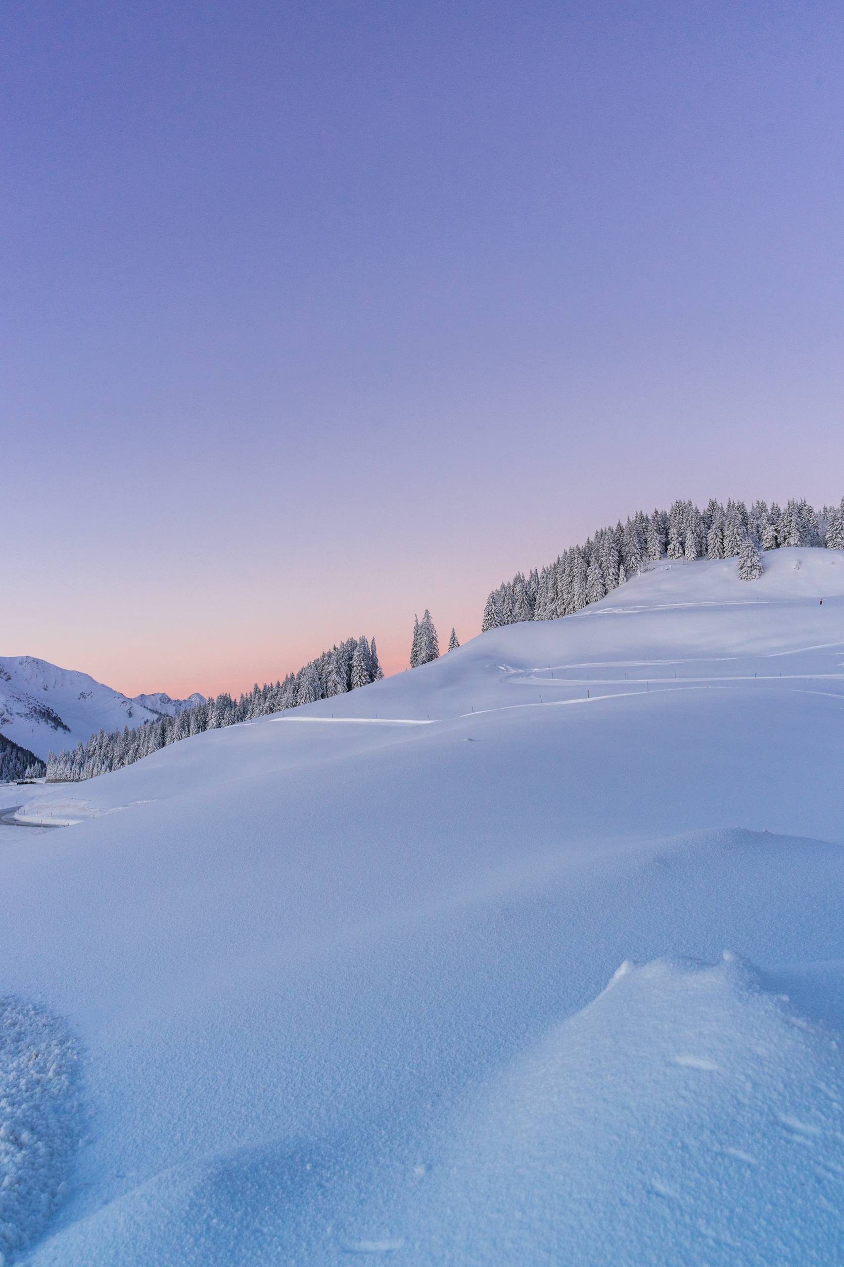 雪山大熊图片壁纸壁纸预览