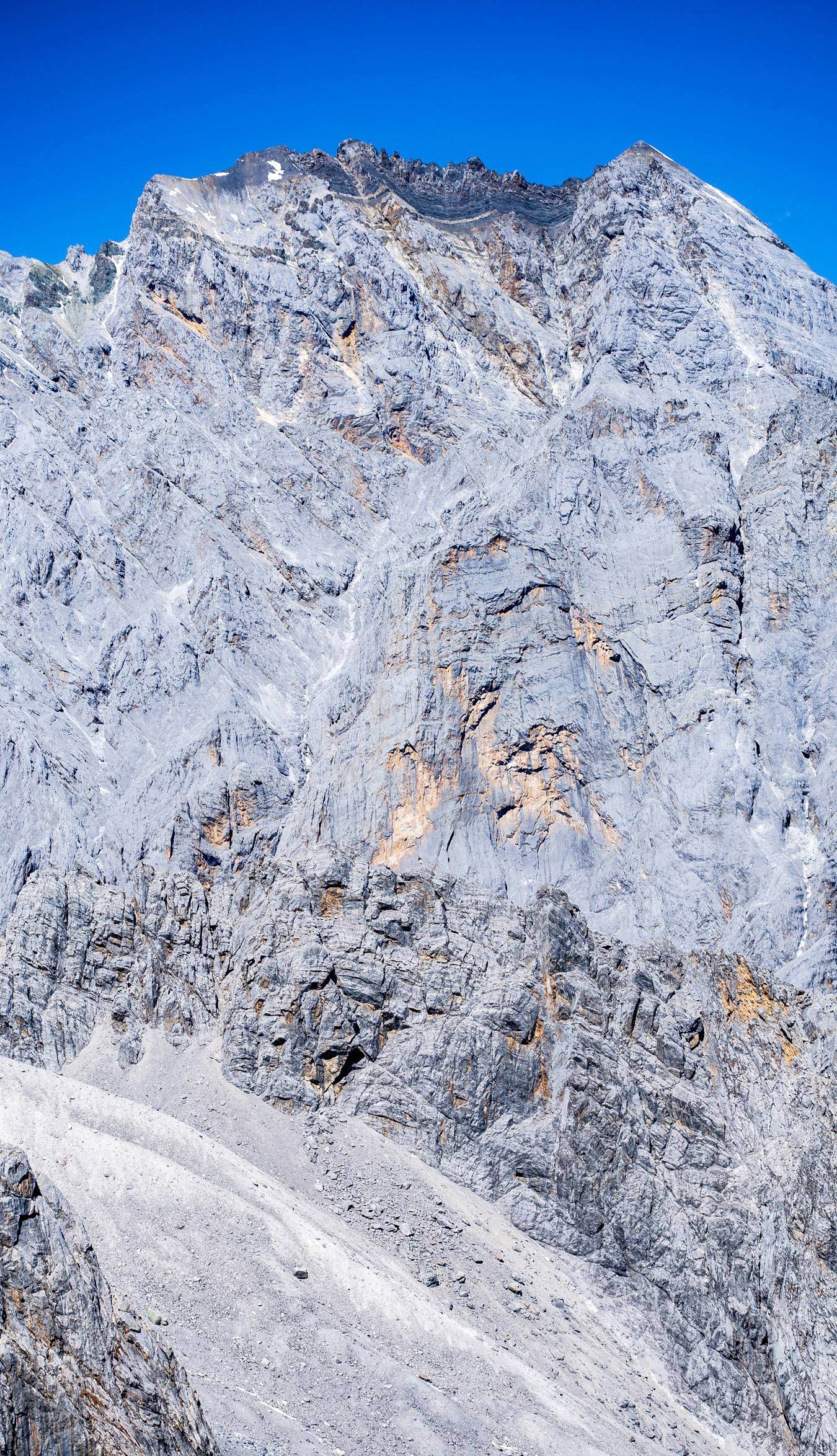 雪山大豆树图片高清壁纸壁纸预览