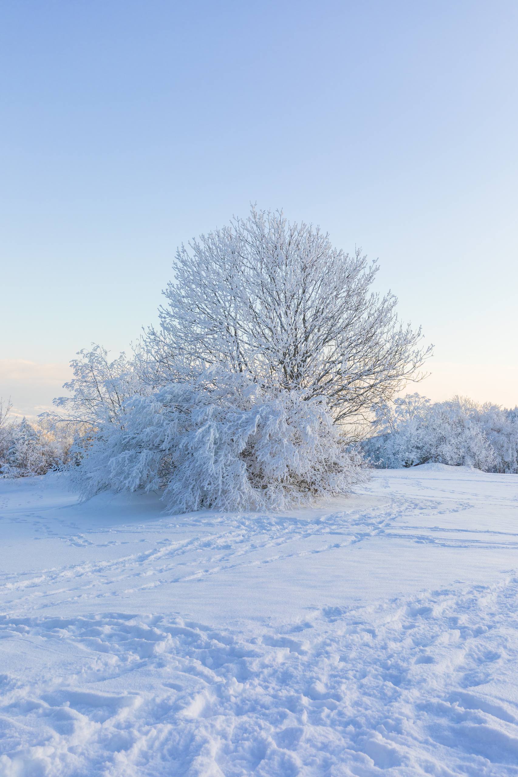 雪山暮色壁纸壁纸预览