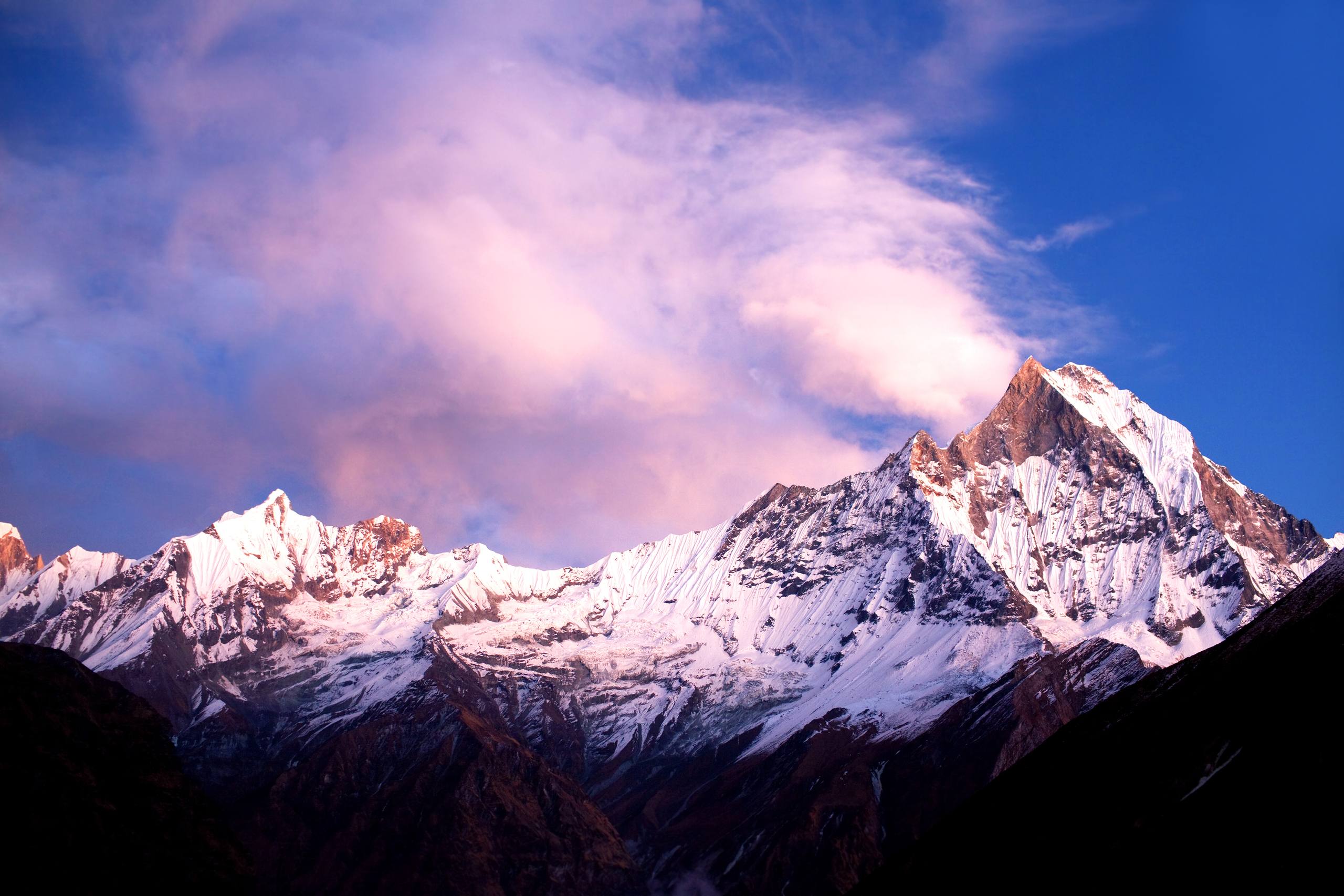 雪山狗狗衣服图片高清壁纸壁纸预览