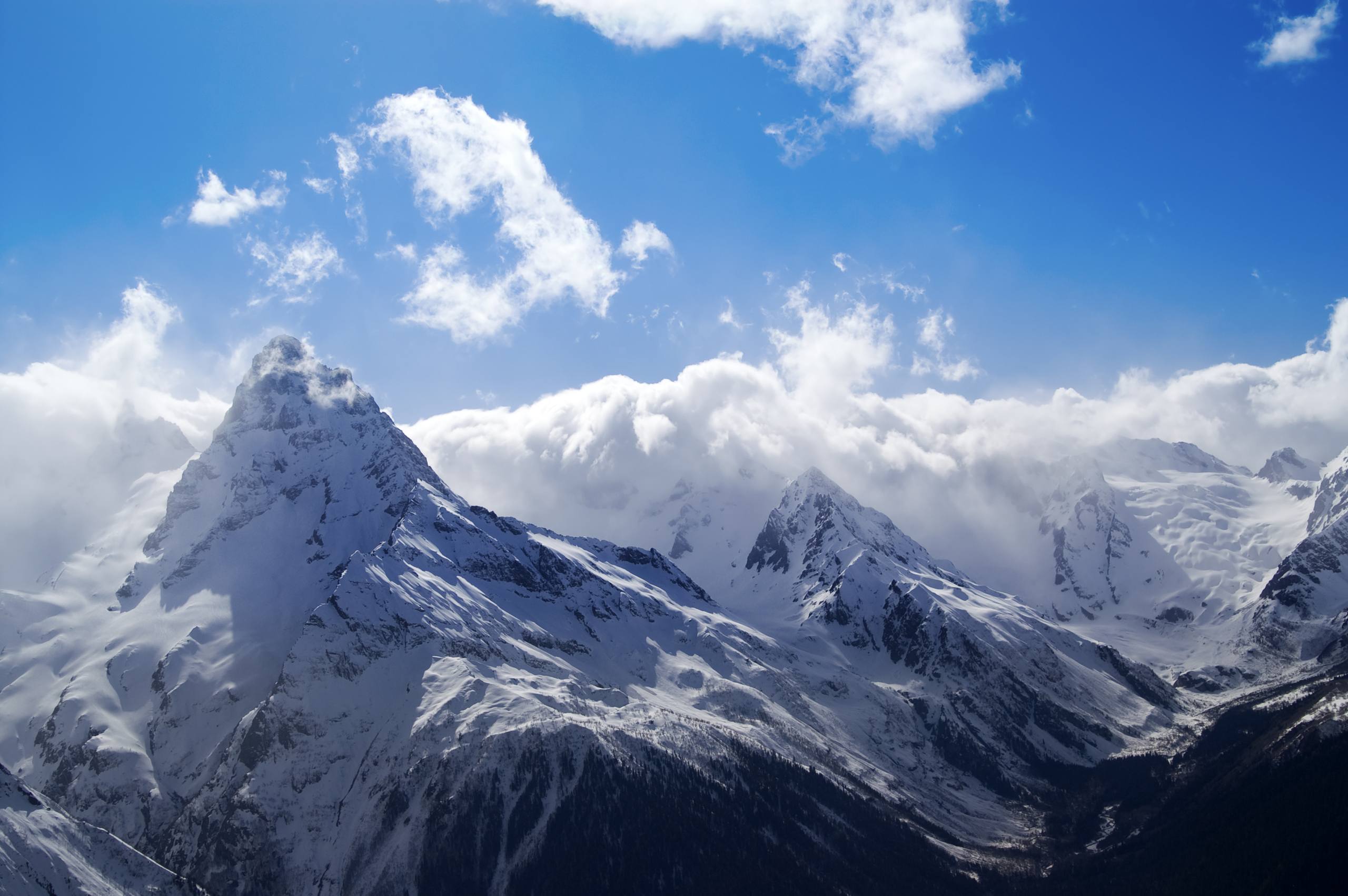 雪山精英背人壁纸壁纸预览