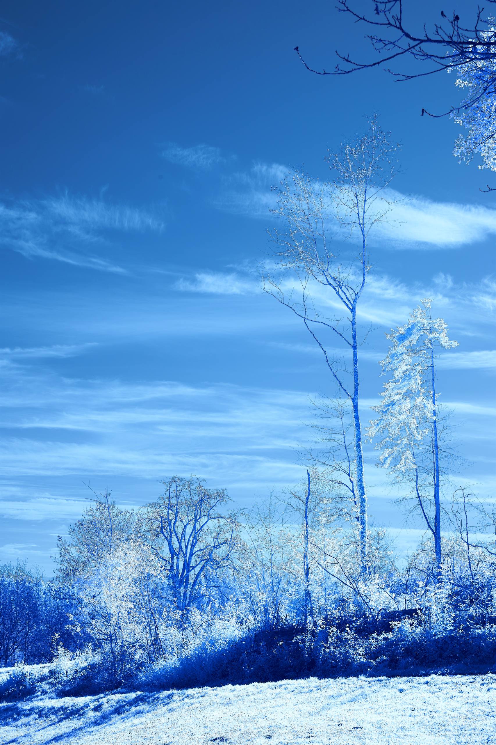 雪山风景图片竖屏壁纸壁纸预览