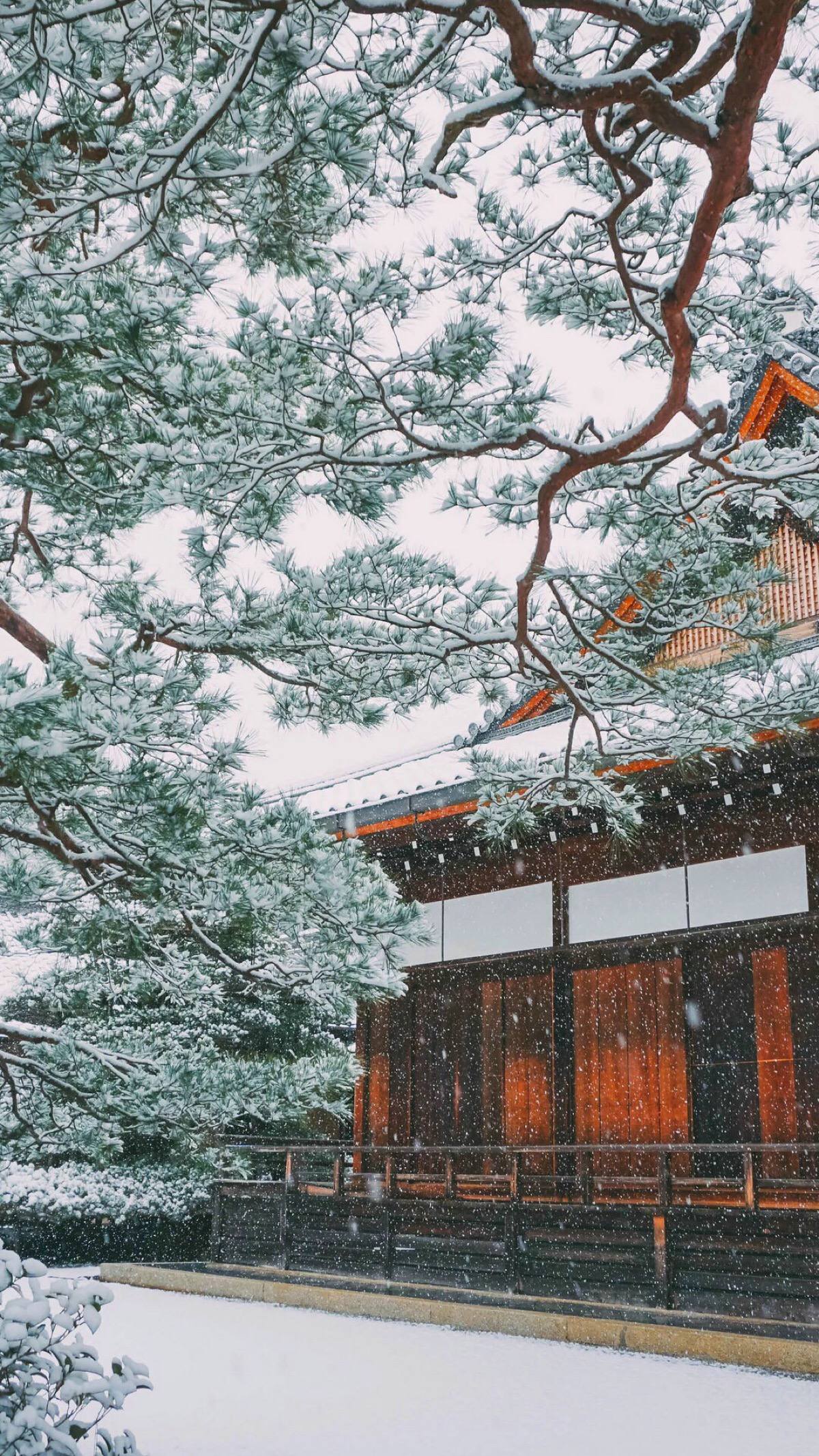 风雪山水动态壁纸下载壁纸预览