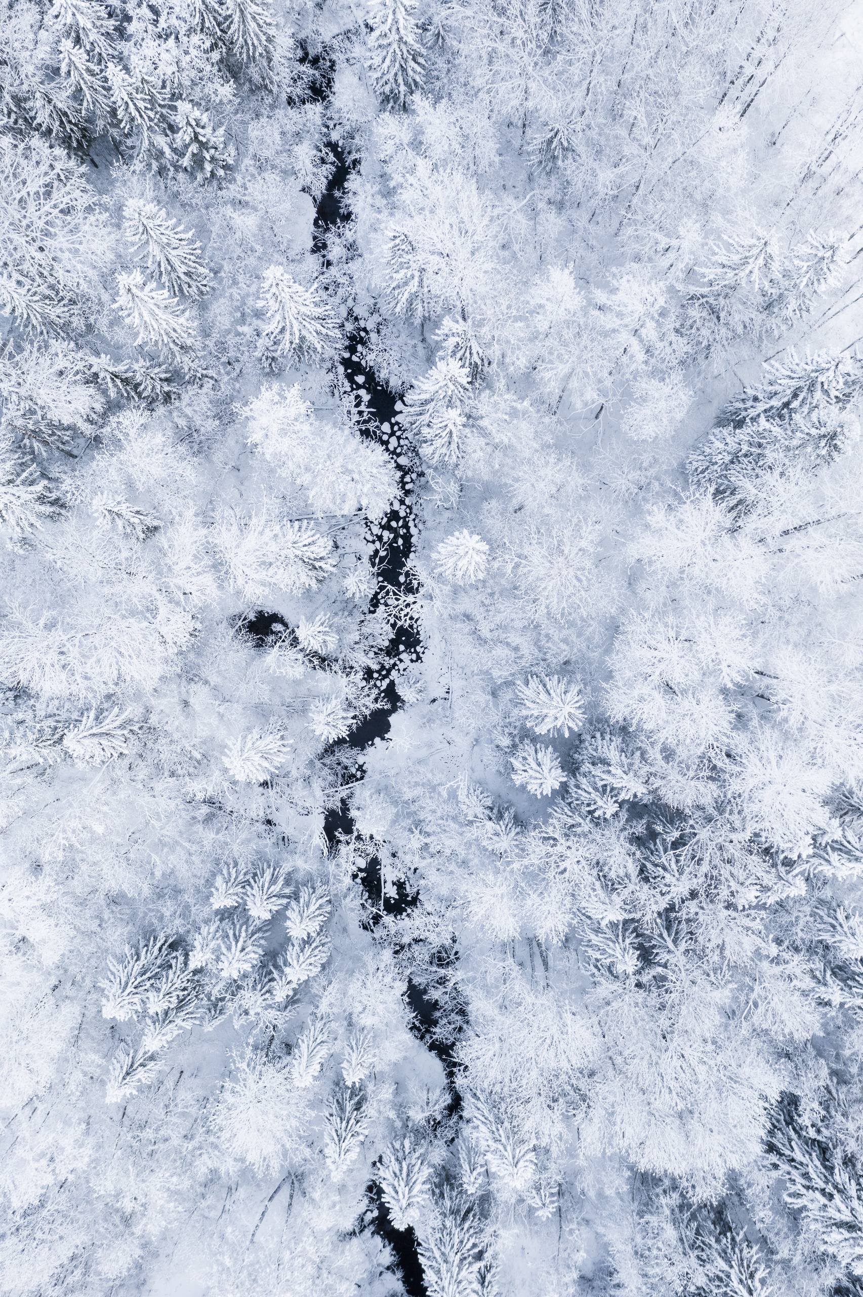 风雪山神庙画像壁纸图片壁纸预览