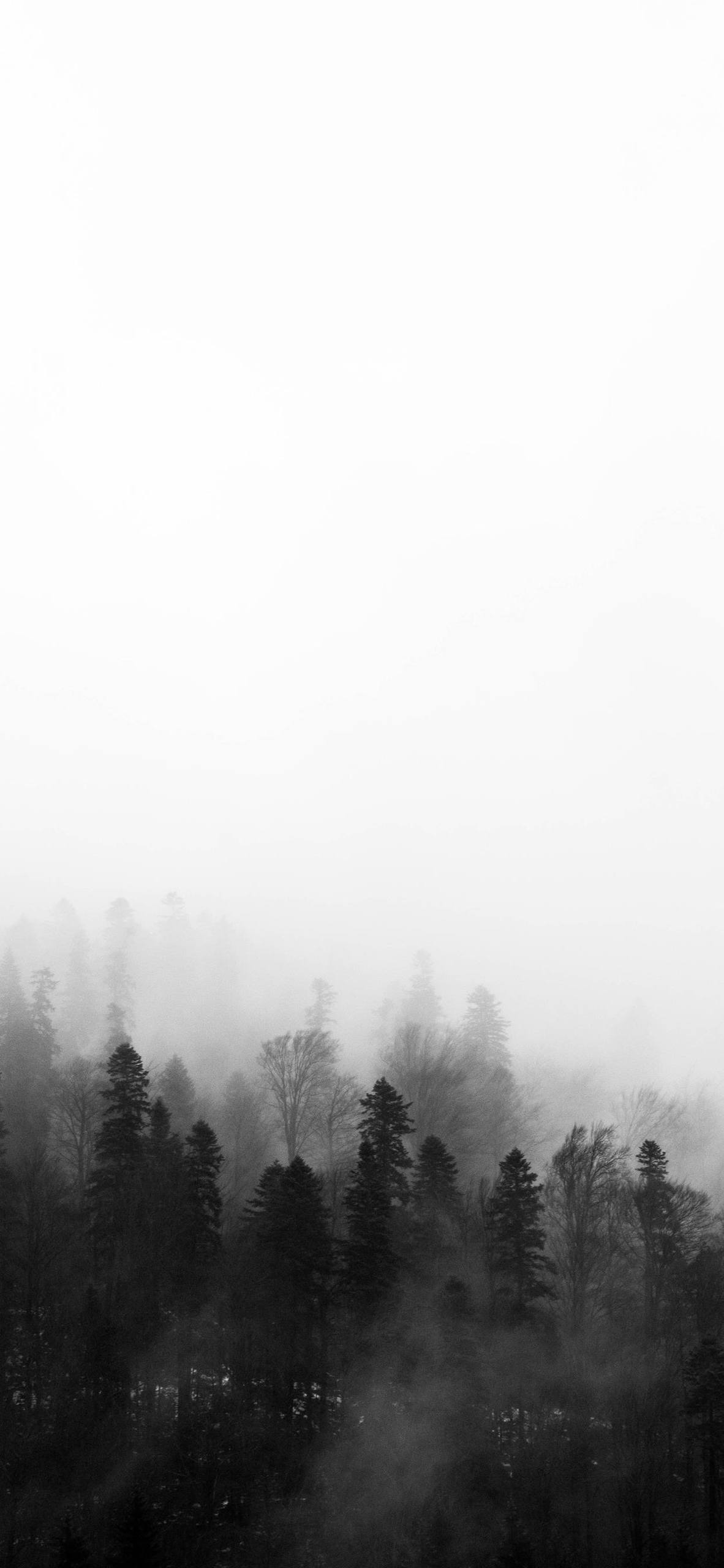 飞向雪山壁纸壁纸预览