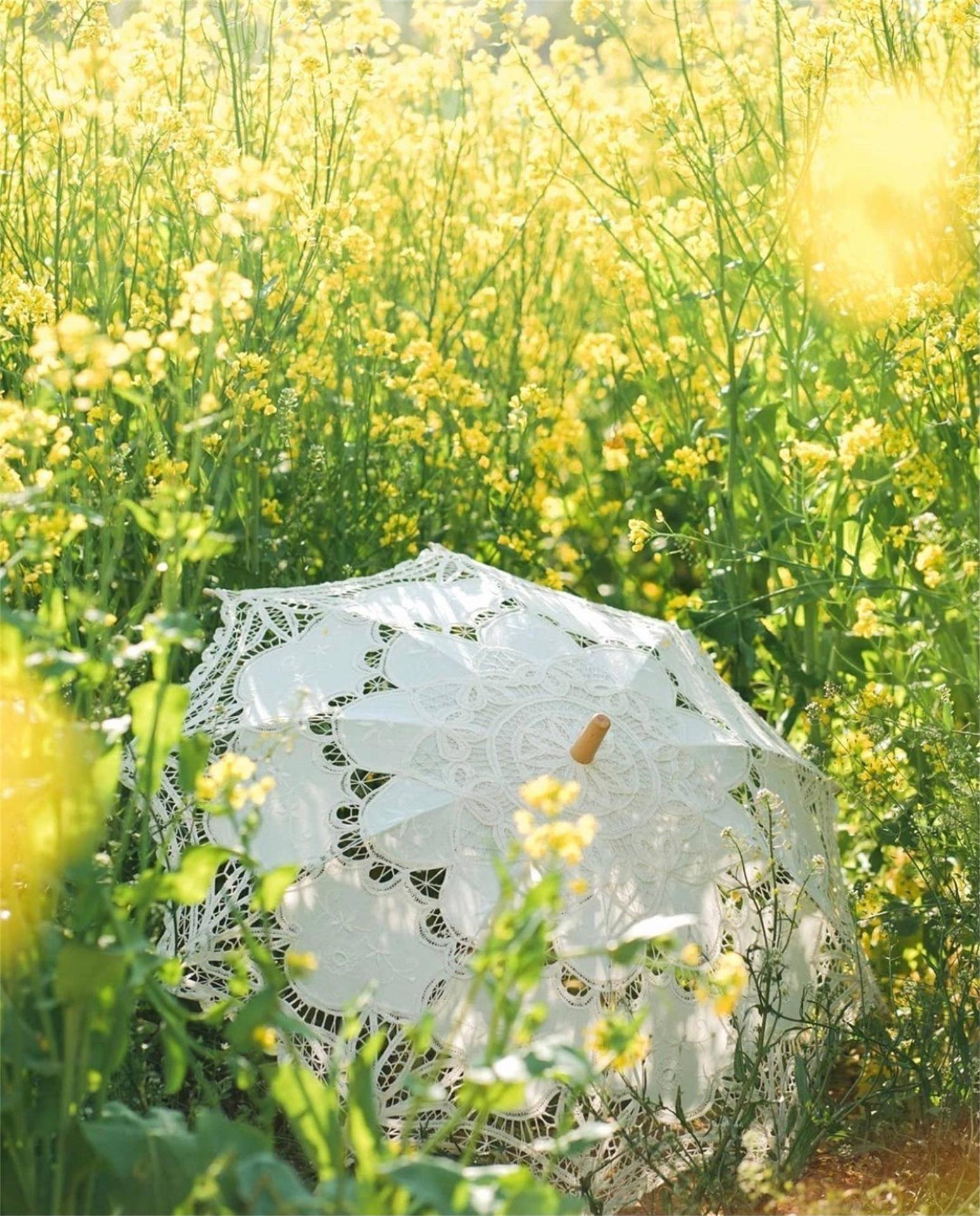 q版植物插画手绘壁纸壁纸预览