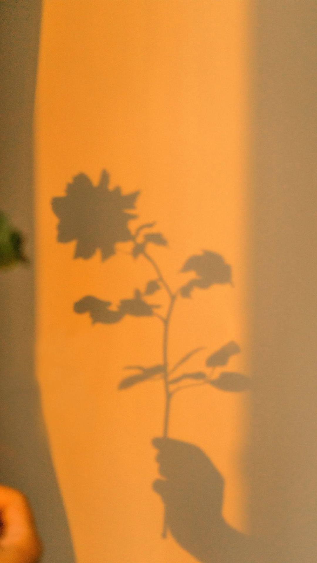 动态手机壁纸高清植物壁纸预览