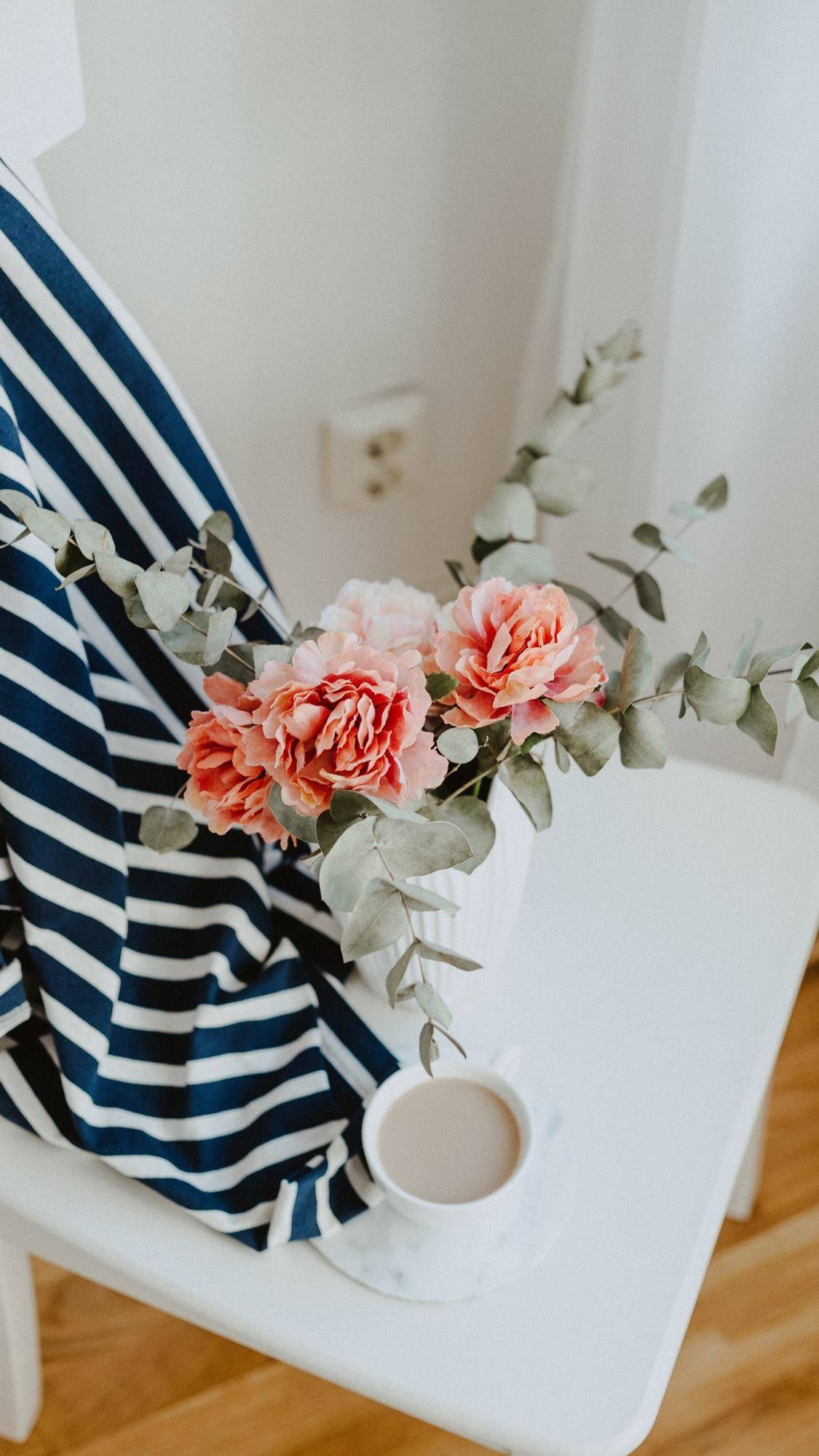 小植物壁纸图片头像壁纸预览