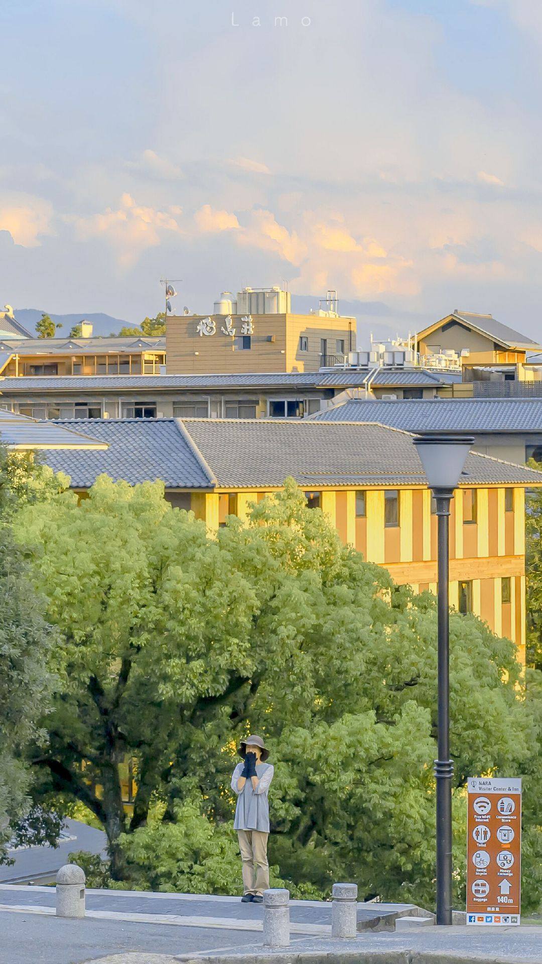 新鲜植物的壁纸壁纸预览