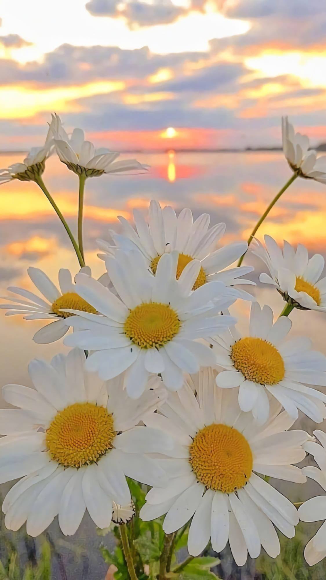 植物入侵插画壁纸图片壁纸预览