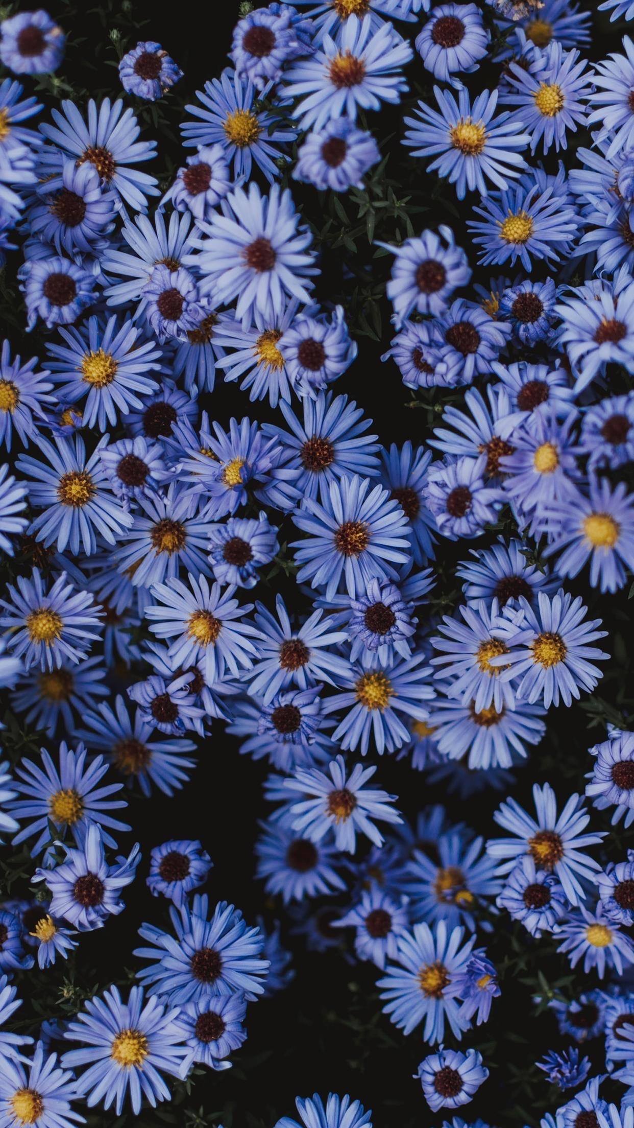 深绿色植物全屏壁纸高清壁纸预览