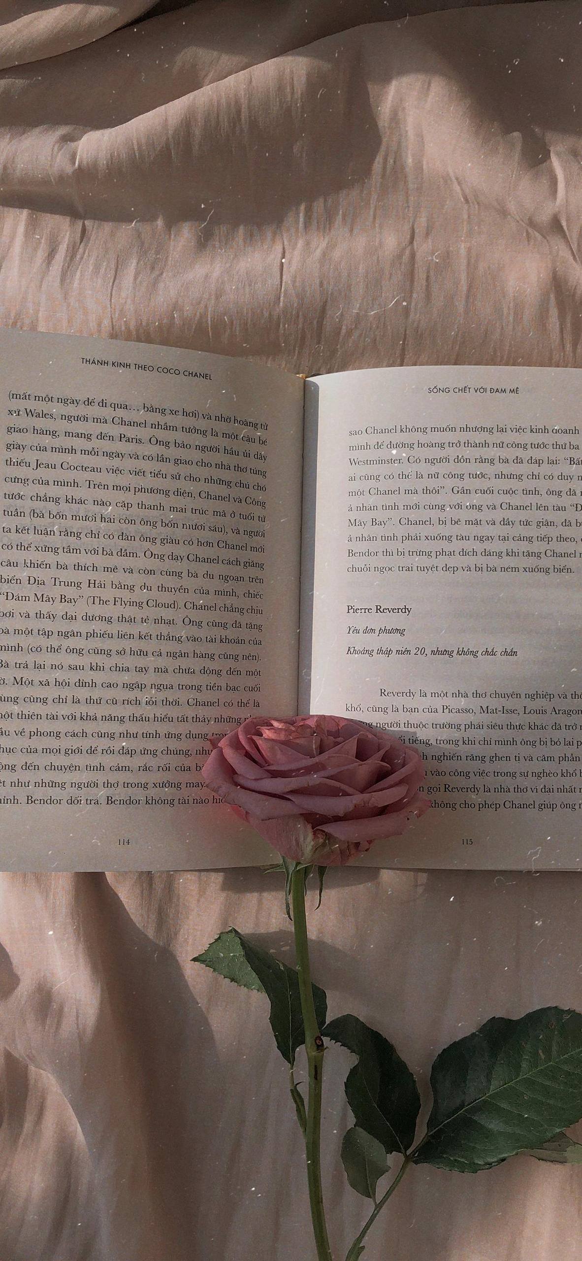 秦岭的植物美景壁纸壁纸预览